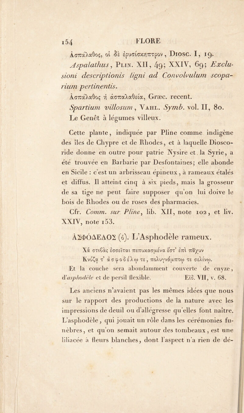 ! 154 FLORE Âs'Tta^aôoç, ot Sè spuffhyjcŸrrcrpov , DlOSC. I, 19. Aspalalhus , Plin. XII, /19; XXIV, 69; Exclu- sioni descriptionis ligni ad Convolvulum scopa- rium pertinents. À<7uaXscGoç ^ acTua^aGeta, Græc. recent. Spartium villosum, Vahl. Symb. vol. II, 80. Le Genêt à légumes villeux. Cette plante, indiquée par Pline comme indigène des îles de Chypre et de Rhodes, et à laquelle Diosco- ride donne en outre pour patrie JNysire et la Syrie, a été trouvée en Barbarie par Desfontaines; elle abonde en Sicile : c’est un arbrisseau épineux, à rameaux étalés et diffus. Il atteint cinq à six pieds, mais la grosseur de sa tige ne peut faire supposer qu’on lui doive le bois de Rhodes ou de roses des pharmacies. Cfr. Comm. sur Pline, lib. XII, note 102, et liv. XXIV, note i53. À2d>ÔAEA02 (0). L’Asphodèle rameux. Xoc ariêaç £<r<j£ÏTca 7T£7ruxao-[J.£va IW lut uayuv KvoÇa X àdCpoSlXw T£, UoXuYVa|JtTTTtp TE C£)avw. Et la couche sera abondamment couverte de cnyze, d’asphodèle et de persil flexible. Eto. VII, v. 68. Les anciens n’avaient pas les mêmes idées que nous sur le rapport des productions de la nature avec les impressions de deuil ou d’allégresse qu’elles font naître. L’asphodèle, qui jouait un rôle dans les cérémonies fu- nèbres, et qu’on semait autour des tombeaux , est une liliacée à fleurs blanches, dont l’aspect n’a rien de dé-
