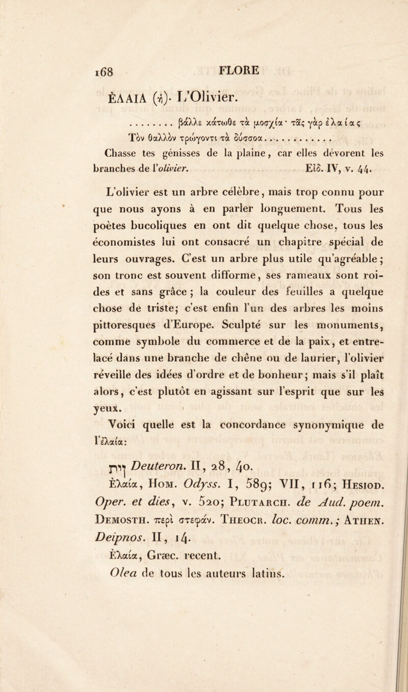ÈAAIA (<)• L’Olivier. » . . (3aX).£ xaxtoôe toc (xoa^ia * xaç yocp sXa \ a ç Tov ôaXXov xpooyovTi toc ouoraoa. Chasse tes génisses de la plaine, car elles dévorent les branches de Y olivier. Eco. IY, y. 44* L’olivier est un arbre célèbre, mais trop connu pour que nous ayons à en parler longuement. Tous les poètes bucoliques en ont dit quelque chose, tous les économistes lui ont consacré un chapitre spécial de leurs ouvrages. C’est un arbre plus utile qu’agréable ; son tronc est souvent difforme, ses rameaux sont roi- des et sans grâce ; la couleur des feuilles a quelque chose de triste; c’est enfin l’un des arbres les moins pittoresques d’Europe. Sculpté sur les monuments, comme symbole du commerce et de la paix, et entre- lacé dans une branche de chêne ou de laurier, l’olivier réveille des idées d’ordre et de bonheur; mais s’il plaît alors, c’est plutôt en agissant sur l’esprit que sur les yeux. Voici quelle est la concordance synonymique de l’iXata: Deuteron. II, 28, l\o. È^ata, Hom. Odyss. I, 58g; VII, ri6; Hesiod. Oper. et dies, v. 5^o; Plutarch. de Aud. poem. Demosth. rapi <jT£<pàv. Theocr. loc. comm. ; Athen. Deipnos. II, \l\. FAata, Græc. recent. Olea de tous les auteurs latins.