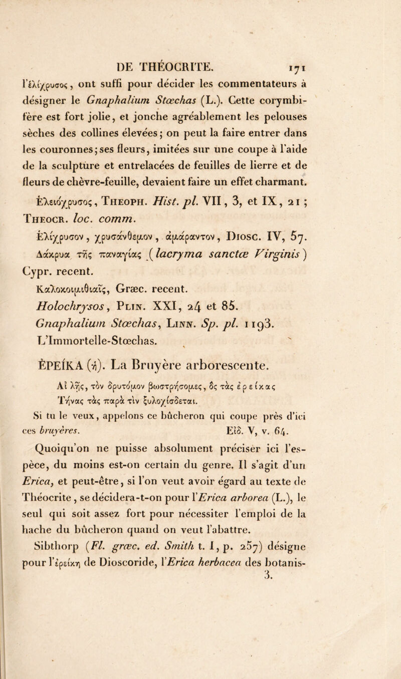 YL\i/çuaoç-, ont suffi pour décider les commentateurs à désigner le Gnaphalium Stœchas (L.). Cette corymbi- fère est fort jolie, et jonche agréablement les pelouses sèches des collines élevées ; on peut la faire entrer dans les couronnes;ses fleurs, imitées sur une coupe à l’aide de la sculpture et entrelacées de feuilles de lierre et de fleurs de chèvre-feuille, devaient faire un effet charmant. Èleioypuco;, Theoph. Hist. pl. VII, 3, et IX, 21 ; Theocr. loc. comm. ÈXiypucov, ^pixjàvÔsjjLov, àp.àpavTov, Diosc. IV, 5y. Aobcpua ty)ç 7ravayiaç ( lacryma sanctce Virginis ) Cypr. recent. Kaloxoïpuôtat;, Græc. recent. Holochrysos, Pljn. XXI, 24 et 85. Gnaphalium Stœchas, Linn. Sp. pl. 1193. L’Immortelle-Stœchas. * ÈPEIKA (ri). La Bruyère arborescente. Ai tov ôpuxo'pt.ov ^(jTpyjcojJisç, tocç epsixaç Trçvaç xà<; T:apà tiv ^uXoyiaSsTat. Si tu le veux, appelons ce bûcheron qui coupe près d’ici ces bruyères. Eiô. V, v. 64. Quoiqu’on ne puisse absolument préciser ici l’es- pèce, du moins est-on certain du genre. Il s’agit d’un Erica, et peut-être, si l’on veut avoir égard au texte de Théocrite , se décidera-t-on pour Y Erica arborea (L.), le seul qui soit assez fort pour nécessiter l’emploi de la hache du bûcheron quand on veut l’abattre. Sibthorp (F/, græc. ed. Smith X. I,p. 25y) désigne pournpaxr) de Dioscoride, Y Erica herbacea des botanis- 3.