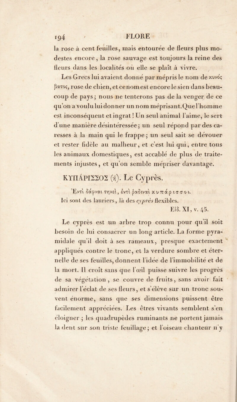 la rose à cent feuilles, mais entourée de fleurs plus mo- destes encore, la rose sauvage est toujours la reine des fleurs dans les localités où elle se plaît à vivre. Les Grecs lui avaient donné par mépris le nom de xuvoç paToç, rose de chien, et ce nom est encore le sien dans beau- coup de pays; nous ne tenterons pas de la venger de ce qu’on a voululuidonner un nom méprisant.Quel homme est inconséquent et ingrat ! Un seul animal l’aime, le sert d’une manière désintéressée ; un seul répond par des ca- resses à la main qui le frappe ; un seul sait se dévouer et rester fidèle au malheur, et c’est lui qui, entre tous les animaux domestiques, est accablé de plus de traite- ments injustes, et qu’on semble mépriser davantage. KYIIÀPI2202 (-4). Le Cyprès. ’Evxt Sacpvai tt,V£i , Ivxl paotval x u 7C à p 1 ar a 0 t. Ici sont des lauriers, là des cyprès flexibles. EU. XI, v. 45. Le cyprès est un arbre trop connu pour qu’il soit besoin de lui consacrer un long article. La forme pyra- midale qu’il doit à ses rameaux, presque exactement appliqués contre le tronc, et la verdure sombre et éter- nelle de ses feuilles, donnent l’idée de l’immobilité et de la mort. Il croît sans que l œil puisse suivre les progrès de sa végétation , se couvre de fruits, sans avoir fait admirer l’éclat de ses fleurs, et s’élève sur un tronc sou*> vent énorme, sans que ses dimensions puissent être facilement appréciées. Les êtres vivants semblent s’en éloigner ; les quadrupèdes ruminants ne portent jamais la dent sur son triste feuillage; et l’oiseau chanteur n'y