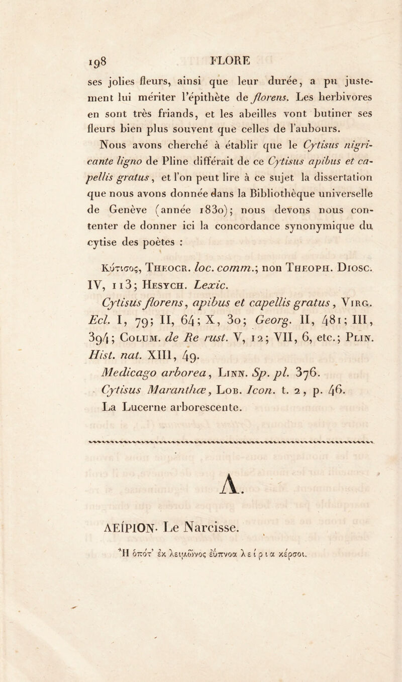 ses jolies fleurs, ainsi que leur durée, a pu juste- ment lui mériter l’épithète de florens. Les herbivores en sont très friands, et les abeilles vont butiner ses fleurs bien plus souvent que celles de Faubours. Nous avons cherché à établir que le Cytisus nigri- cante ligno de Pline différait de ce Cytisus apibus et ca- pelh's gratus, et Ton peut lire à ce sujet la dissertation que nous avons donnée dans la Bibliothèque universelle de Genève (année i83o); nous devons nous con- tenter de donner ici la concordance synonymique du cytise des poètes : Kutkjoç, Theocr. loc. comm.\ non Theoph. Diqsc. IV, ii3; Hesych. Lexic. Cytisus florens, apibus et capellis gratus, Yirg. Ecl. I, 79; II, 64; X, 3o; Georg. II, 431; III, 394; Colum. de Re rust. V, 12; VII, 6, etc.; Plin. Ilist. nat. XIII, 49* Medicago arbore a, Li Nm.Sp.pl. 376. Cytisus Maranthœ, Lob. Icon. t. 2, p. 4 6. La Lucerne arborescente. AE1PION- Le Narcisse. ôtcoY sx AStjxwvoç sinrvoa \ e 1 p 1 a xspcroi.