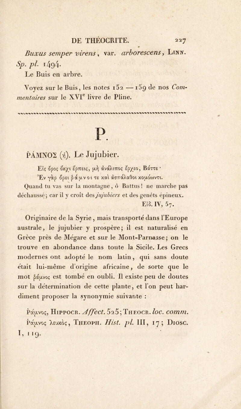 Buxus semper virens, var. arborescens, Linn. Sp. pi. 1494. Le Buis en arbre. Voyez sur le Buis, les notes 102 —iog de nos Com- mentaires sur le XVIe livre de Pline. PÀMN02 (-fi). Le Jujubier. E?ç opoç oxyt epusiç, py] avaXiirciç Ipyso, Barre * 5Ev yotp opet p a pv o i xe xai àsiraXaôot xojaoojvxt. Quand tu vas sur la montagne, ô Battus! ne marche pas déchaussé; car il y croît des jujubiers et des genêts épineux. Et S. IV, 57. Originaire de la Syrie , mais transporté dans l’Europe australe, le jujubier y prospère; il est naturalisé en Grèce près de Mégare et sur le Mont-Parnasse; on le trouve en abondance dans toute la Sicile. Les Grecs modernes ont adopté le nom latin, qui sans doute était lui-même d’origine africaine, de sorte que le mot pajxvoç est tombé en oubli. Il existe peu de doutes sur la détermination de cette plante, et l’on peut har- diment proposer la synonymie suivante : Pauvoç, Hippocr. Affect. 525;Theocr. loc. comm. Lmvoç teujcoç, Theoph. Hist. pi. III, 17; Diosc. 1,119.