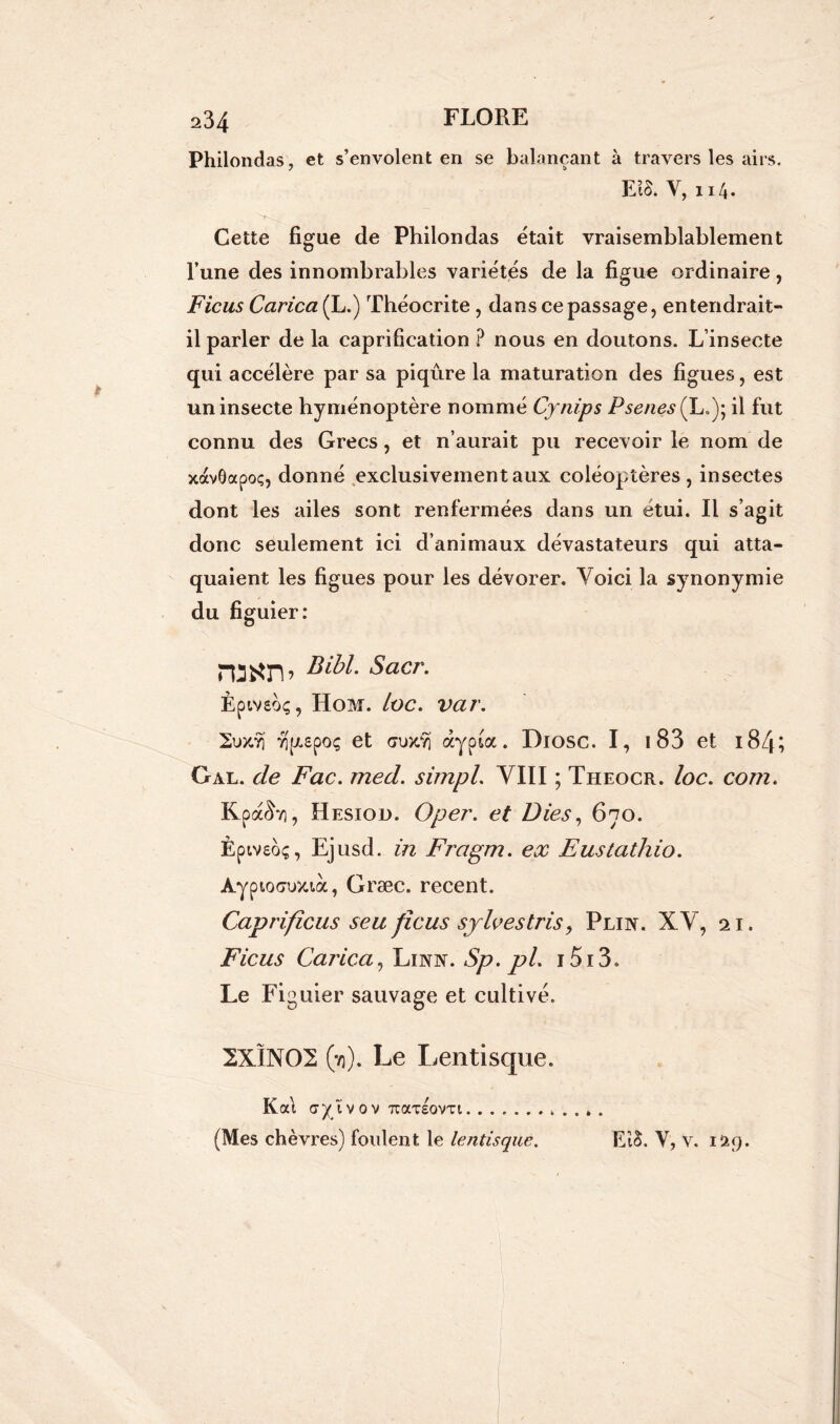 Philondas, et s’envolent en se balançant à travers les airs. EÏS. Y, 114. Cette figue de Philondas était vraisemblablement l’une des innombrables variétés de la figue ordinaire, Ficus Carica (L.) Théocrite, dans ce passage, entendrait- il parler de la caprification ? nous en doutons. L’insecte qui accélère par sa piqûre la maturation des figues, est un insecte hyménoptère nommé Cytiips Psenes(L.); il fut connu des Grecs, et n’aurait pu recevoir le nom de xavôapoç, donné exclusivement aux coléoptères, insectes dont les ailes sont renfermées dans un étui. Il s’agit donc seulement ici d’animaux dévastateurs qui atta- quaient les figues pour les dévorer. Voici la synonymie du figuier: rtëtflTb Bibl. Sacr. Èpivsoç, Hom. loc. var. 2i»dj vîpLspo; et <jux.y) aypta. Diosc. I, 1 83 et 184» Gal. de Fac. med. simpl, VIII ; Theocr. loc. com. Kpà&v), Hesiou. Oper. et Dies, 670. Èpiveoç, Ejusd. in Fragm. ex Eustathio. ÀypioGuxià, Græc. recent. Caprificus seu ficus sylvestris> P lin. XV, 21. Ficus Carica, Linn. Sp. pi. 1513. Le Figuier sauvage et cultivé. 2XÏN02 (•/)). Le Lentisque. Kai (jyivov Tcaxgovxi (Mes chèvres) foulent le lentisque. Ei§. Y, v. 129.