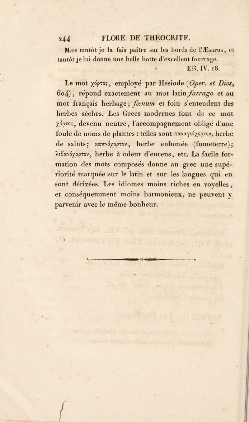 q44 FLORE DE THÉOCR1TE. Mais tantôt je la fais paître sur les bords de l’Æsarus, et tantôt je lui donne une belle botte d’excellent fourrage. * EîS. IV. 18. Le mot x°pT0<î) employé par Hésiode (Oper. et Dies, 6o4), répond exactement au mot latin farrago et au mot français herbage ; fœnum et foin s’entendent des herbes sèches. Les Grecs modernes font de ce mot ^opxoç, devenu neutre, l’accompagnement obligé d’une foule de noms de plantes : telles sont Tïavayio/opTov, herbe de saints; xairvo^opxov, herbe enfumée (fumeterre); ^lêavo^oprov, herbe à odeur d’encens, etc. La facile for- mation des mots composés donne au grec une supé- riorité marquée sur le latin et sur les langues qui en sont dérivées. Les idiomes moins riches en voyelles, et conséquemment moins harmonieux, ne peuvent y parvenir avec le meme bonheur.