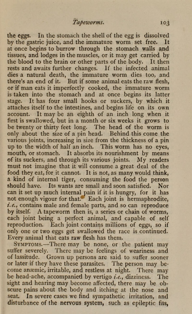 the eggs. In the stomach the shell of the egg is dissolved by the gastric juice, and the immature worm set free. It at once begins to burrow through the stomach walls and tissues, and lodges in the muscles, or it may get carried by the blood to the brain or other parts of the body. It then rests and awaits further changes. If the infected animal dies a natural death, the immature worm dies too, and there’s an end of it. But if some animal eats the raw flesh, or if man eats it imperfectly cooked, the immature worm is taken into the stomach and at once begins its latter stage. It has four small hooks or suckers, by which it attaches itself to the intestines, and begins life on its own account. It may be an eighth of an inch long when it first is swallowed, but in a month or six weeks it grows to be twenty or thirty feet long. The head of the worm is only about the size of a pin head. Behind this come the various joints, increasing in size from the thickness of a pin up to the width of half an inch. This worm has no eyes, mouth, or stomach. It absorbs its nourishment by means of its suckers, and through its various joints. My readers must not imagine that it will consume a great deal of the food they eat, for it cannot. It is not, as many would think, a kind of internal tiger, consuming the food the person should have. Its wants are small and soon satisfied. Nor can it set up much internal pain if it is hungry, for it has not enough vigour for that. Each joint is hermaphrodite, i.e., contains male and female parts, and so can reproduce by itself. A tapeworm then is, a series or chain of worms, each joint being a perfect animal, and capable of self reproduction. Each joint contains millions of eggs, so if only one or two eggs get swallowed the race is continued. Every animal that eats raw flesh has them. Symptoms.—There may be none, or the patient may suffer severely. There may be feelings of weariness and of lassitude. Grown up persons are said to suffer sooner or later if they have these parasites. The person may be¬ come anaemic, irritable, and restless at night. There may be head-ache, accompanied by vertigo i.e., dizziness. The sight and hearing may become affected, there may be ob¬ scure pains about the body and itching at the nose and seat. In severe cases we find sympathetic irritation, and disturbance of the nervous system, such as epileptic fits,