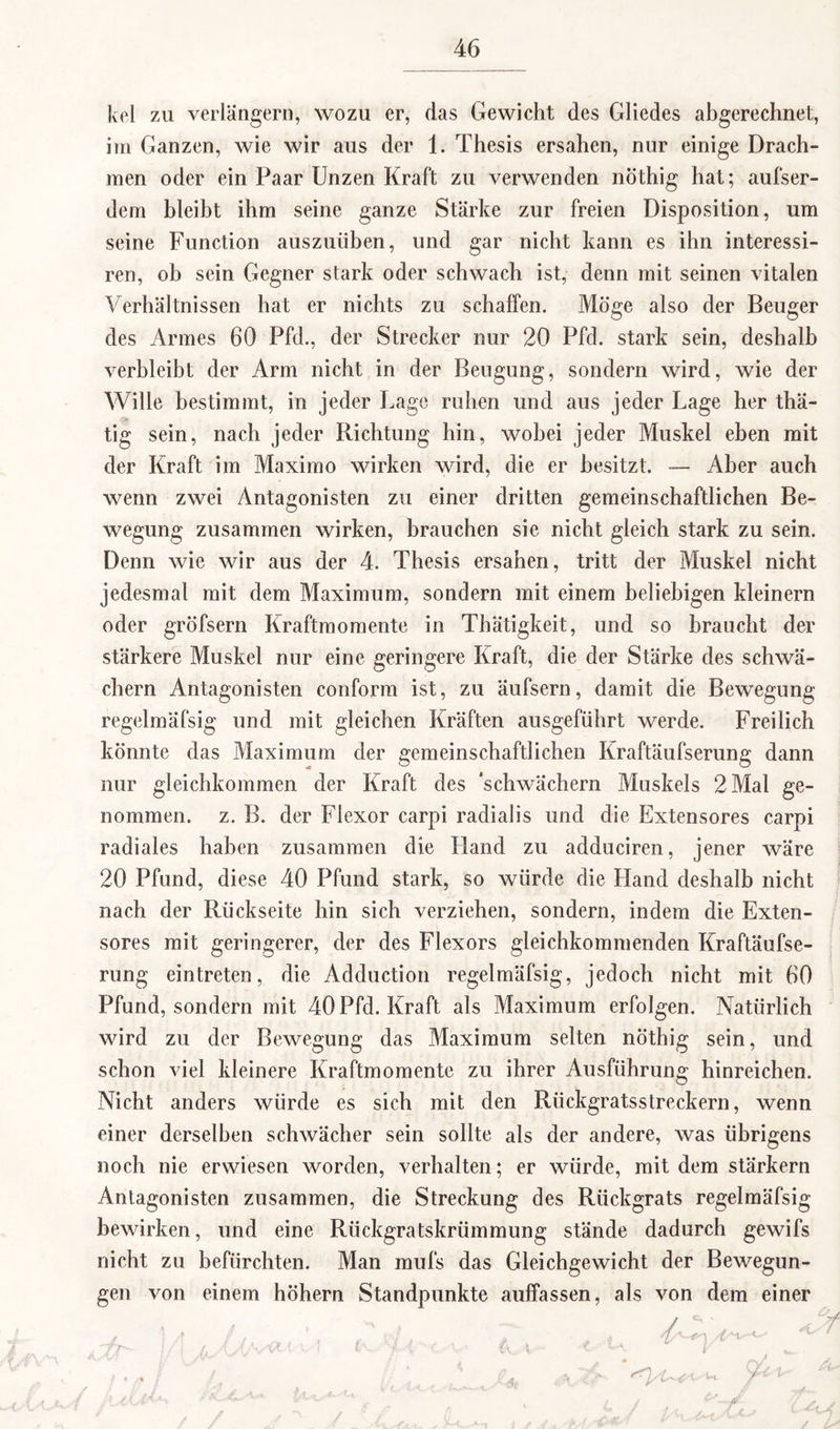 KCl 4 zu verlängern, wozu er, das Gewicht des Gliedes abgerechnet, im Ganzen, wie wir aus der 1. Thesis ersahen, nur einige Drach¬ men oder ein Paar Unzen Kraft zu verwenden nöthig hat; aufser- dem bleibt ihm seine ganze Stärke zur freien Disposition, um seine Function auszuüben, und gar nicht kann es ihn interessi- ren, ob sein Gegner stark oder schwach ist, denn mit seinen vitalen Verhältnissen hat er nichts zu schaffen. Möge also der Beuger des Armes 60 Pfd., der Strecker nur 20 Pfd. stark sein, deshalb verbleibt der Arm nicht in der Beugung, sondern wird, wie der Wille bestimmt, in jeder Lage ruhen und aus jeder Lage her thä- tig sein, nach jeder Richtung hin, wobei jeder Muskel eben mit der Kraft im Maximo wirken wird, die er besitzt. — Aber auch wenn zwei Antagonisten zu einer dritten gemeinschaftlichen Be¬ wegung zusammen wirken, brauchen sie nicht gleich stark zu sein. Denn wie wir aus der 4. Thesis ersahen, tritt der Muskel nicht jedesmal mit dem Maximum, sondern mit einem beliebigen kleinern oder gröfsern Kraftmomente in Thätigkeit, und so braucht der stärkere Muskel nur eine geringere Kraft, die der Stärke des schwä- chern Antagonisten conform ist, zu äufsern, damit die Bewegung regelmäfsig und mit gleichen Kräften ausgeführt werde. Freilich könnte das Maximum der gemeinschaftlichen Kraftäufserung dann nur gleichkommen der Kraft des ‘schwächern Muskels 2 Mal ge¬ nommen. z. B. der Flexor carpi radialis und die Extensores carpi radiales haben zusammen die Hand zu adduciren, jener wäre 20 Pfund, diese 40 Pfund stark, so würde die Hand deshalb nicht nach der Rückseite hin sich verziehen, sondern, indem die Exten¬ sores mit geringerer, der des Flexors gleichkommenden Kraftäufse¬ rung eintreten, die Adduction regelmäfsig, jedoch nicht mit 60 Pfund, sondern mit 40 Pfd. Kraft als Maximum erfolgen. Natürlich wird zu der Bewegung das Maximum selten nöthig sein, und schon viel kleinere Kraftmomente zu ihrer Ausführung hinreichen. Nicht anders würde es sich mit den Rückgratsstreckern, wenn einer derselben schwächer sein sollte als der andere, was übrigens noch nie erwiesen worden, verhalten; er würde, mit dem stärkern Antagonisten zusammen, die Streckung des Rückgrats regelmäfsig bewirken, und eine Rückgratskrümmung stände dadurch gewifs nicht zu befürchten. Man mufs das Gleichgewicht der Bewegun¬ gen von einem höhern Standpunkte auffassen, als von dem einer 4A q4 y-t