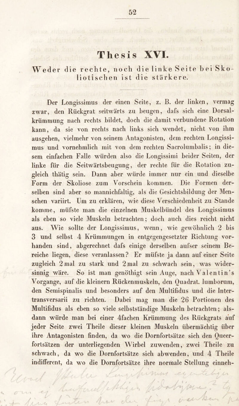 Thesis XVI. Weder die rechte, noch die linke Seite bei Sko- liotischen ist die stärkere. Der Longissimus der einen Seite, z. B. der linken, vermag zwar, den Rückgrat seitwärts zu beugen, dafs sich eine Dorsal¬ krümmung nach rechts bildet, doch die damit verbundene Rotation kann, da sie von rechts nach links sich wendet, nicht von ihm ausgehen, vielmehr von seinem Antagonisten, dem rechten Longissi¬ mus und vornehmlich mit von dem rechten Sacrolumbalis; in die¬ sem einfachen Falle würden also die Longissimi beider Seiten, der linke für die Seitwärtsbeugung, der rechte für die Rotation zu¬ gleich thätig sein. Dann aber würde immer nur ein und dieselbe Form der Skoliose zum Vorschein kommen. Die Formen der¬ selben sind aber so mannichfaltig, als die Gesichtsbildung der Men¬ schen variirt. Um zu erklären, wie diese Verschiedenheit zu Stande komme, müfste man die einzelnen Muskelbündel des Longissimus als eben so viele Muskeln betrachten; doch auch dies reicht nicht aus. Wie sollte der Longissimus, wenn, wie gewöhnlich 2 bis 3 und selbst 4 Krümmungen in entgegengesetzter Richtung vor¬ handen sind, abgerechnet dafs einige derselben aufser seinem Be¬ reiche liegen, diese veranlassen? Er müfste ja dann auf einer Seite zugleich 2mal zu stark und 2mal zu schwach sein, was wider¬ sinnig wäre. So ist man genöthigt sein Auge, nach Valentin’s Vorgänge, auf die kleinern Rückenmuskeln, den Quadrat, lumborum, den Semispinalis und besonders auf den Multifidus und die Inter- transversarii zu richten. Dabei mag man die 26 Portionen des Multifidus als eben so viele selbstständige Muskeln betrachten; als¬ dann würde man bei einer 4fachen Krümmung des Rückgrats auf jeder Seite zwei Theile dieser kleinen Muskeln übermächtig über ihre Antagonisten finden, da wo die Dornfortsätze sich den Queer- fortsätzen der unterliegenden Wirbel zuwenden, zwei Theile zu schwach, da wo die Dornfortsätze sich abwenden, und 4 Theile indifferent, da wo die Dornfortsätze ihre normale Stellung einneh- f s.