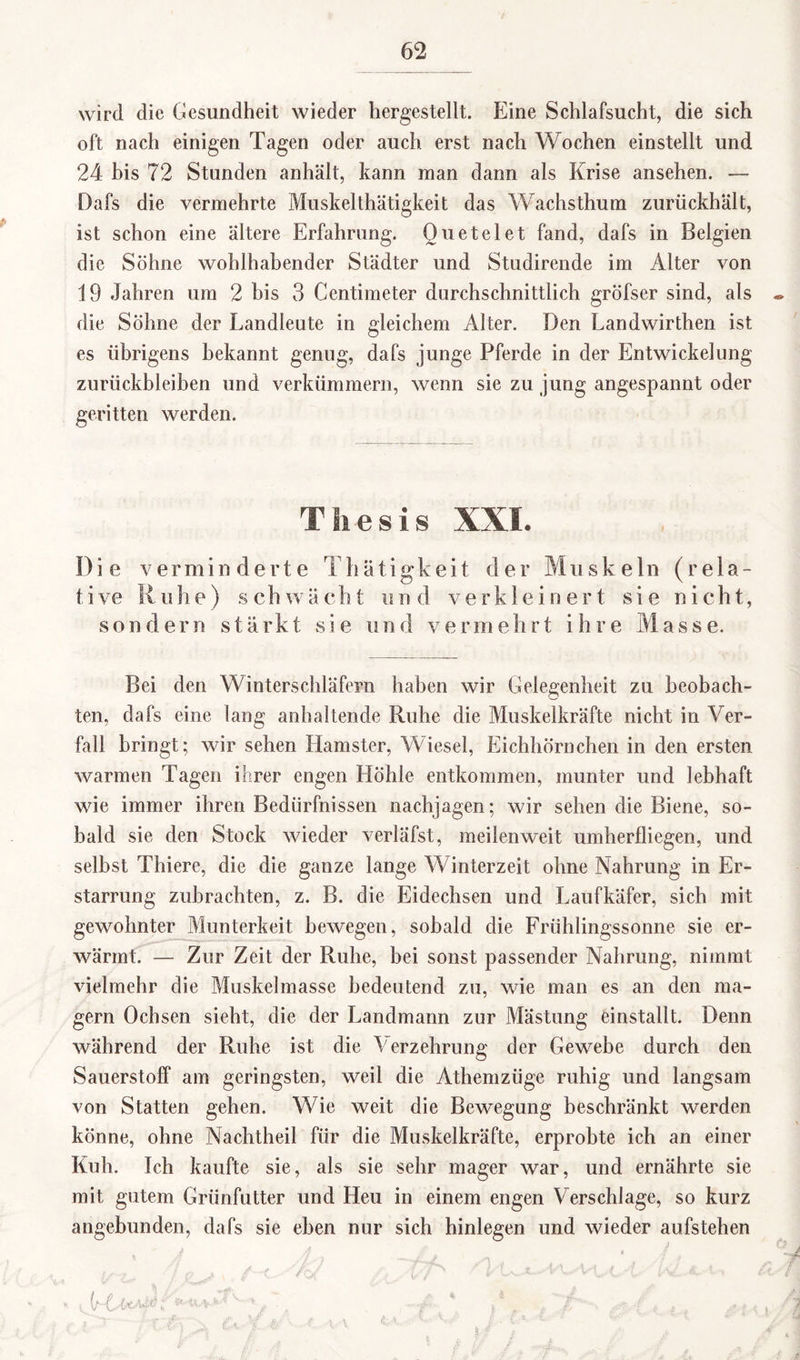 wird die Gesundheit wieder liergesteilt. Eine Schlafsucht, die sich oft nach einigen Tagen oder auch erst nach Wochen einstellt und 24 bis 72 Stunden anhält, kann man dann als Krise ansehen. — Dafs die vermehrte Muskelthätigkeit das Wachsthum zurückhält, ist schon eine ältere Erfahrung. Quetelet fand, dafs in Belgien die Söhne wohlhabender Städter und Studirende im Alter von 19 Jahren um 2 bis 3 Centimeter durchschnittlich gröfser sind, als die Söhne der Landleute in gleichem Alter. Den Landwirthen ist es übrigens bekannt genug, dafs junge Pferde in der Entwickelung Zurückbleiben und verkümmern, wenn sie zu jung angespannt oder geritten werden. Thesis XXL Die verminderte Thätigkeit der Muskeln (rela¬ tive Ruhe) schwächt und verkleinert sie nicht, sondern stärkt sie und vermehrt ihre Masse. Bei den Winterschläfern haben wir Gelegenheit zu beobach¬ ten, dafs eine lang anhaltende Ruhe die Muskelkräfte nicht in Ver¬ fall bringt; wir sehen Hamster, Wiesel, Eichhörnchen in den ersten warmen Tagen ihrer engen Höhle entkommen, munter und lebhaft wie immer ihren Bedürfnissen nachjagen; wir sehen die Biene, so¬ bald sie den Stock wieder verläfst, meilenweit umherfliegen, und selbst Thiere, die die ganze lange Winterzeit ohne Nahrung in Er¬ starrung zubrachten, z. B. die Eidechsen und Laufkäfer, sich mit gewohnter Munterkeit bewegen, sobald die Frühlingssonne sie er¬ wärmt. — Zur Zeit der Ruhe, bei sonst passender Nahrung, nimmt vielmehr die Muskelmasse bedeutend zu, wie man es an den ma¬ gern Ochsen sieht, die der Landmann zur Mästung einstallt. Denn während der Ruhe ist die Verzehrung der Gewebe durch den Sauerstoff am geringsten, weil die Athemzüge ruhig und langsam von Statten gehen. Wie weit die Bewegung beschränkt werden könne, ohne Nachtheil für die Muskelkräfte, erprobte ich an einer Kuh. Ich kaufte sie, als sie sehr mager war, und ernährte sie mit gutem Grünfutter und Heu in einem engen Verschlage, so kurz angebunden, dafs sie eben nur sich hinlegen und wieder aufstehen * . * / . , ,♦: L ’ V A ****. n ■ i V ' i/ j <,