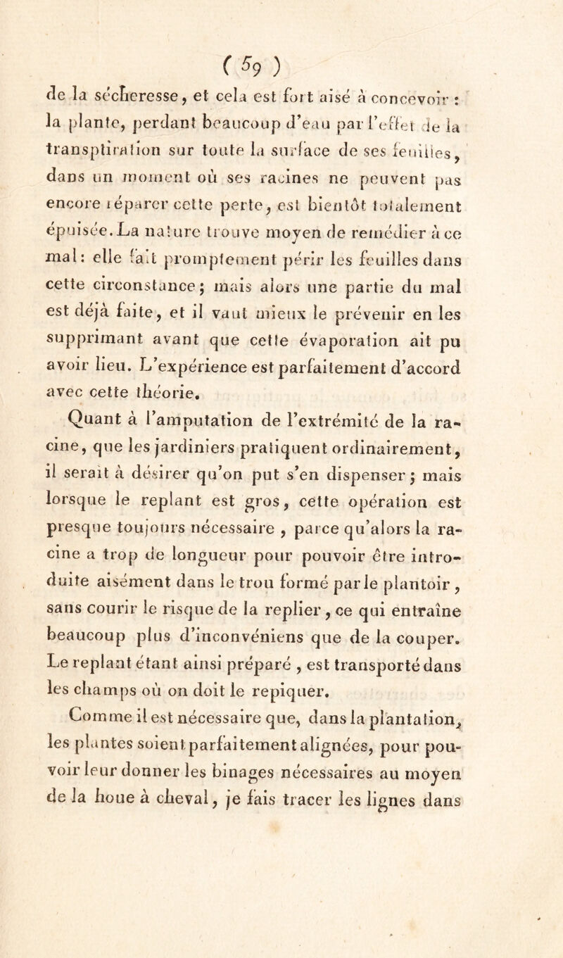 fie la seclieresse, et cela est fort aise a concevoir : ]a planto, perdant beaucoup d’eau par I’eHei de la transpliralion sur toute la surface de ses feniiies, daus un moment ou ses racines ne peuvent pas encore leparcr ceUe perte, csl bienlot lolaleinent epuisee.La nalurc Irouve mojen de renicdler a co mai; elle la.t prompfement perir les feuilles dans cette circonstance; mais aiors une partie du inal est deja faite, et il vaul aiieux le preveiiir en les supprimant avant que cetle evaporation ait pu avoir lieu. L’experience est parfailement d’accord avec cette tlieorie, Quant a ramputation de rextremite de la ra- cine, que les jardiniers praliquent ordinairement, ii serait a dt^&irer qu’on put s’en dispenser 5 mais lorsque le replant est gros, cette operation est presque toujours necessaire , parce qu’alors la ra- cine a trop de longueur pour pouvoir etre intro- duite aisement dans le trou forme parle plantoir , sans courir le risque de la replier, ce qui entraine beaucoup plus d’inconveniens que de la coiiper. Le replant etant ainsi prepare , est transporte dans les champs ou on doit le repiquer. Com me il est necessaire que, dans la prantation^ les plantes soientparfaitementalignees, pour pou- voir leur donner les binages necessaires an moyen de Ja houe a cheval, je fais tracer les lignes dans