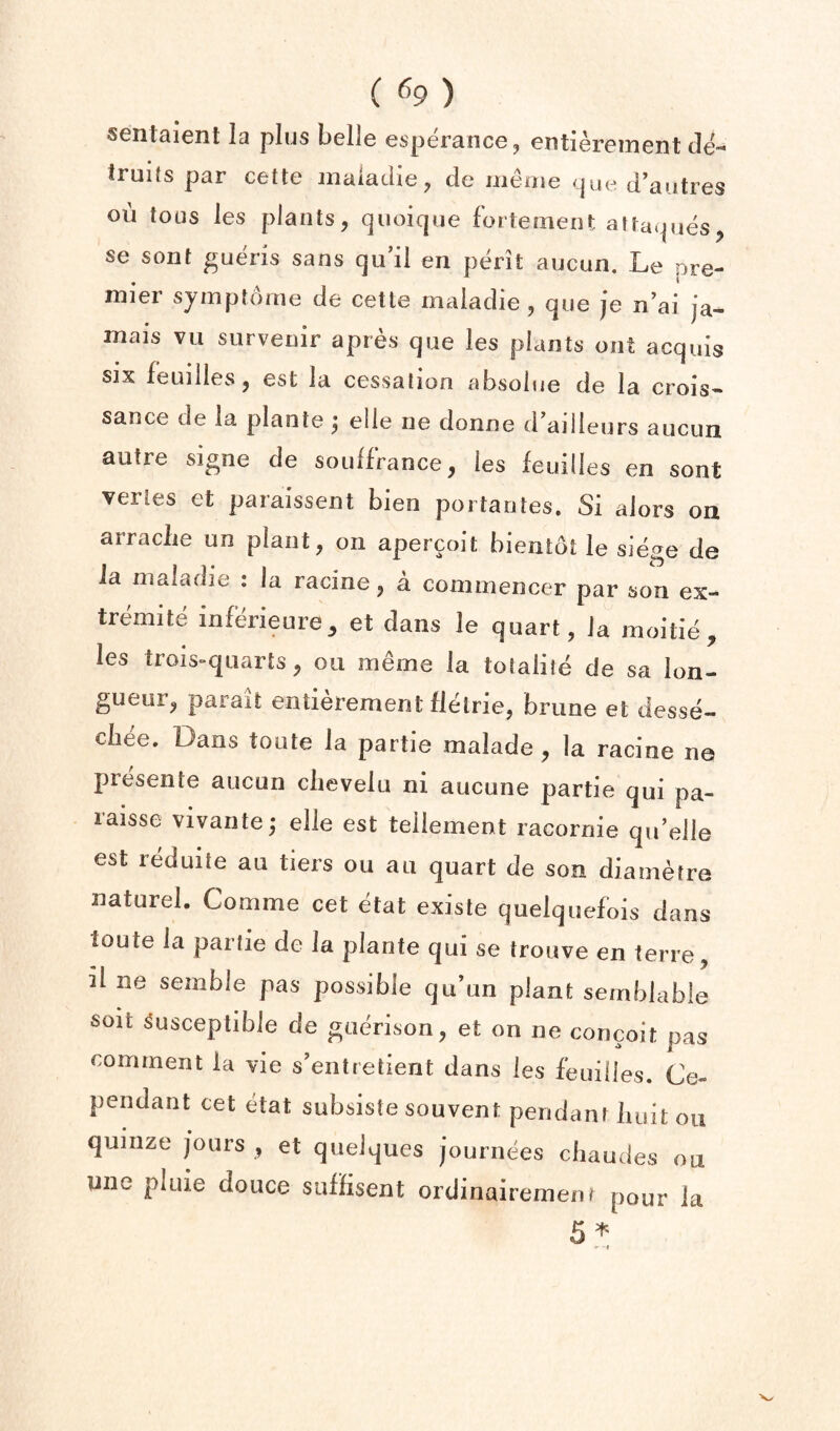 sentaient la plus belle esperancej entierement cle- truits par cette inaladie, de mtuiie d’autres oii lous les plants, quoicjne fortemerii; atta.pies, se sont gueris sans cju’il en perit aucun. Le pre¬ mier sjmptoine de cette maiadie, que je n’ai ja¬ mais vu survenir apres que les plants ont acquis six feuilles, est la cessation absolue de la crois- sance de la plante ^ elie ne donne d’ailleurs aucun autre si^ne de soulfrance, les feuilles en sont vertes et paraissent bien portantes. Si alors on arraclie un plant, on apercoit bientot le siege de ia maiadie : la racine, a commencer par son ex- tremite infeieure^ et dans le quart, ia moitie, les trois-quarts, on meine la tolaiite de sa lon¬ gueur, parait entierement fletrie, brune et desse- cliee. Dans toute la partie malade , la racine ne presente aucun ciievelu ni aucune partie qui pa- raisse vivante^ elie est teilement racornie qu’elle est reduite au tiers ou an quart de son diametre naturel. Comme cet etat existe quelquefois dans toute ia partie de la plante qui se trouve en terre, il ne semble pas possible qu’un plant semblabie soit Susceptible de gaerison, et on ne concoit pas comment la vie s'entretient dans ies feuilles. Ce- pendant cet etat subsiste souvent pendant buit on quinze jours , et queiques journees cliaudes on une pluie douce suHisent ordinairement pour ia . -t