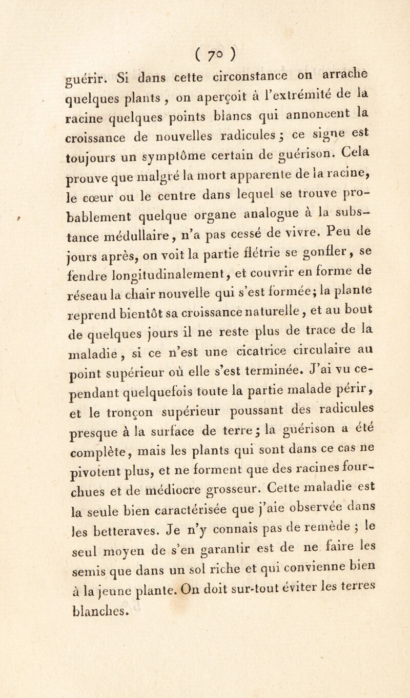 ( 7° ) Euerir. Si dans cette circonstance on arraclie O /•/It quel(]ues plants ^ on apercoit a 1 extremite de a racine (^uelcjues points biancs fjai annonceiit la croissance do nouvelles radicules 3 ce signe est toujours un symptome certain de guerison. Cela prouve que malgre la mort apparente de la racme, le coeur ou le centre dans lequei se trouve pro- bablement quelque organe analogue a la subs¬ tance medullaire, n a pas cesse de vivre. Peu de jours apreSj on voit la partie fletrie se gonfler ^ se fendre longitudinalement, et couvrir en forme de reseaula chair nouvelie qui s’est formee; la plante reprend bientot sa croissance naturelle j et au bout de quelques jours il ne reste plus de trace de la inaladie, si ce nest une cicatrice circulaire au point superieur ou elle s’est terminee. J ai vu ce- pendant quelquefois toute la partie malade perir, et le troncon superieur poussant des radicules presque a la surface de terre3 la guerison a efce complete, mais les plants qui sont dans ce cas ne pivotent plus, et ne forment que des racinesfour- chues et de mediocre grosseur. Cette maladie est la seuie bien caracteiisee que j aie observee dans les betteraves. Je n’y connais pas de remede 5 le seul moyen de s’en garantir est de ne faire les semis que dans un sol riche et qui convienne bien a la jeune plante. On doit sur-tout eviter les terres blanches.