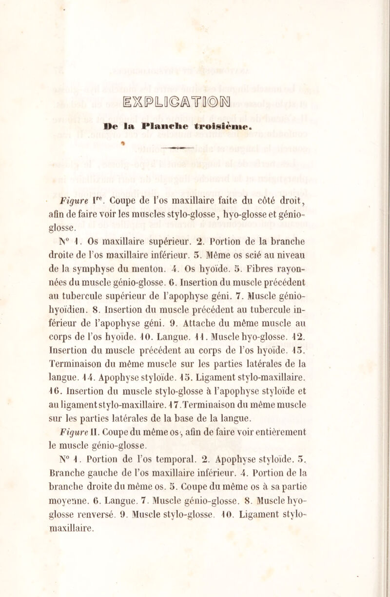 [l^[p>Lfl©#\TD®[K] De la Planelie troisième. Figure T®. Coupe de l’os maxillaire faite du côté droit, afin de faire voir les muscles stylo-glosse, hyo-glosse et génio- glosse. IN® 1. Os maxillaire supérieur. 2. Portion de la branche droite de l’os maxillaire inférieur. 5. Même os scié au niveau de la symphyse du menton. 4. Os hyoïde. 5. Fibres rayon- nées du muscle génio-glosse. 6. Insertion du muscle précédent an tubercule supérieur de l’apophyse géni. 7. Muscle génio- hyoïdien. 8. Insertion du muscle précédent au tubercule in- férieur de l’apophyse géni. 9. Attache du même muscle au corps de l’os hyoïde. 10. Langue. II. Muscle hyo-glosse. 12. Insertion du muscle précédent au corps de l’os hyoïde. 15. Terminaison du même muscle sur les parties latérales de la langue. 14. Apophyse styloïde. 15. Ligament stylo-maxillaire. 16. Insertion du muscle stylo-glosse à l’apophyse styloïde et au ligament stylo-maxillaire. 17.Terminaison du même muscle sur les parties latérales de la base de la langue. Figure IL Coupe du même os', afin de faire voir entièrement le muscle génio-glosse. I. Portion de l’os temporal. 2. Apophyse styloïde. 5. Branche gauche de l’os maxillaire inférieur. 4. Portion de la branche droite du même os. 5. Coupe du même os à sa partie moyenne. 6. Langue. 7. Muscle génio-glosse. 8. Muscle hyo- glosse renversé. 9. Muscle stylo-glosse. 10. Ligament stylo- maxillaire.