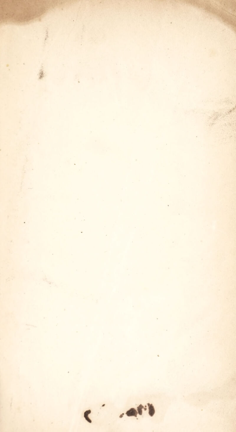 ... ^ y ■ ‘M *i,_ .^' '■^ '.’ ■'. ‘f • f %