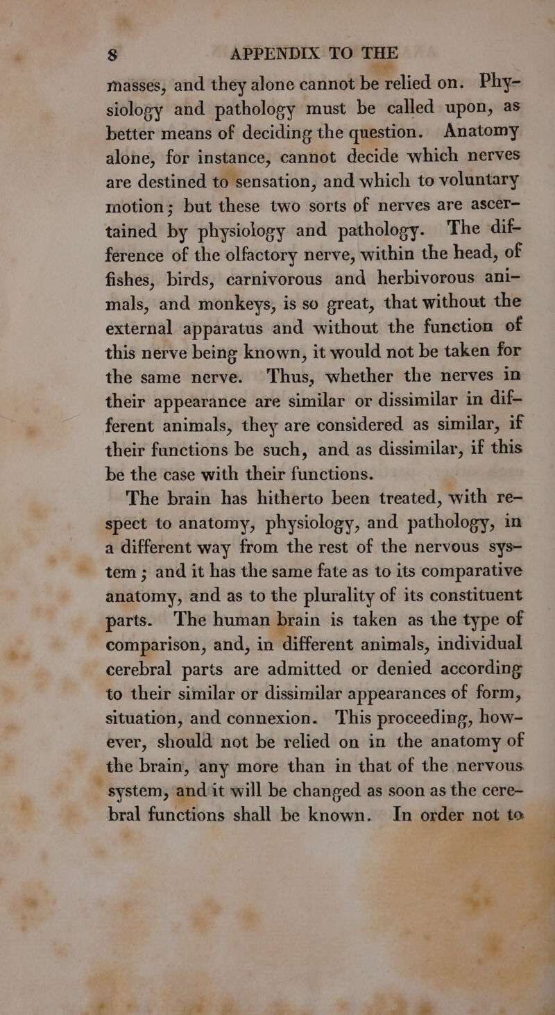 er ; masses, and they alone cannot be Pélied on. Phy- siology and pathology must be called upon, as better means of deciding the question. Anatomy alone, for instance, cannot decide which nerves are destined to sensation, and which to voluntary motion; but these two sorts of nerves are ascer- tained by physiology and pathology. The dif- ference of the olfactory nerve, within the head, of fishes, birds, carnivorous and herbivorous ani- mals, and monkeys, is so great, that without the external apparatus and without the function of this nerve being known, it would not be taken for the same nerve. Thus, whether the nerves in their appearance are similar or dissimilar in dif- ferent animals, they are considered as similar, if their functions be such, and as dissimilar, if this be the case with their functions. The brain has hitherto been treated, with re- spect to anatomy, physiology, and pathology, in a different way from the rest of the nervous sys- ~ tem; and it has the same fate as to its comparative anatomy, and as to the plurality of its constituent parts. The human brain is taken as the type of comparison, and, in different animals, individual cerebral parts are admitted or denied according to their similar or dissimilar appearances of form, situation, and connexion. This proceeding, how- ever, should not be relied on in the anatomy of the brain, any more than in that of the nervous system, and it will be changed as soon as the cere- bral functions shall be known. In order not to