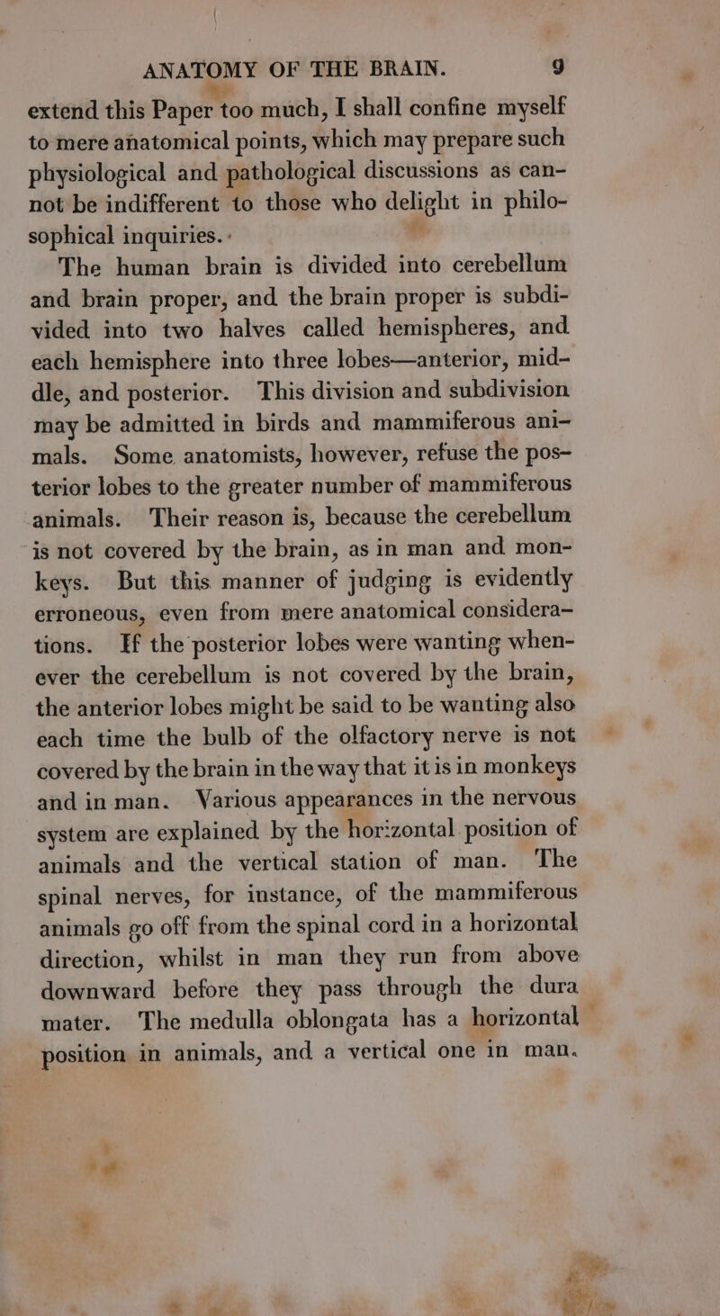extend this Papertos much, I shall confine myself to mere anatomical points, which may prepare such physiological and pathological discussions as can- not be indifferent to those who delight in philo- sophical inquiries. : The human brain is divided into cerebellum and brain proper, and the brain proper is subdi- vided into two halves called hemispheres, and each hemisphere into three lobes—anterior, mid- dle, and posterior. This division and subdivision may be admitted in birds and mammiferous ani- mals. Some anatomists, however, refuse the pos- terior lobes to the greater number of mammiferous animals. Their reason is, because the cerebellum is not covered by the brain, as in man and mon- keys. But this manner of judging is evidently erroneous, even from mere anatomical considera- tions. If the posterior lobes were wanting when- ever the cerebellum is not covered by the brain, the anterior lobes might be said to be wanting also each time the bulb of the olfactory nerve is not covered by the brain in the way that it is in monkeys and inman. Various appearances in the nervous system are explained by the hor: ‘zontal. position of animals and the vertical station of man. ‘The spinal nerves, for instance, of the mammiferous animals go off from the aphntl cord in a horizontal direction, whilst in man they run from above downward before they pass through the dura position in animals, and a vertical one in man. al