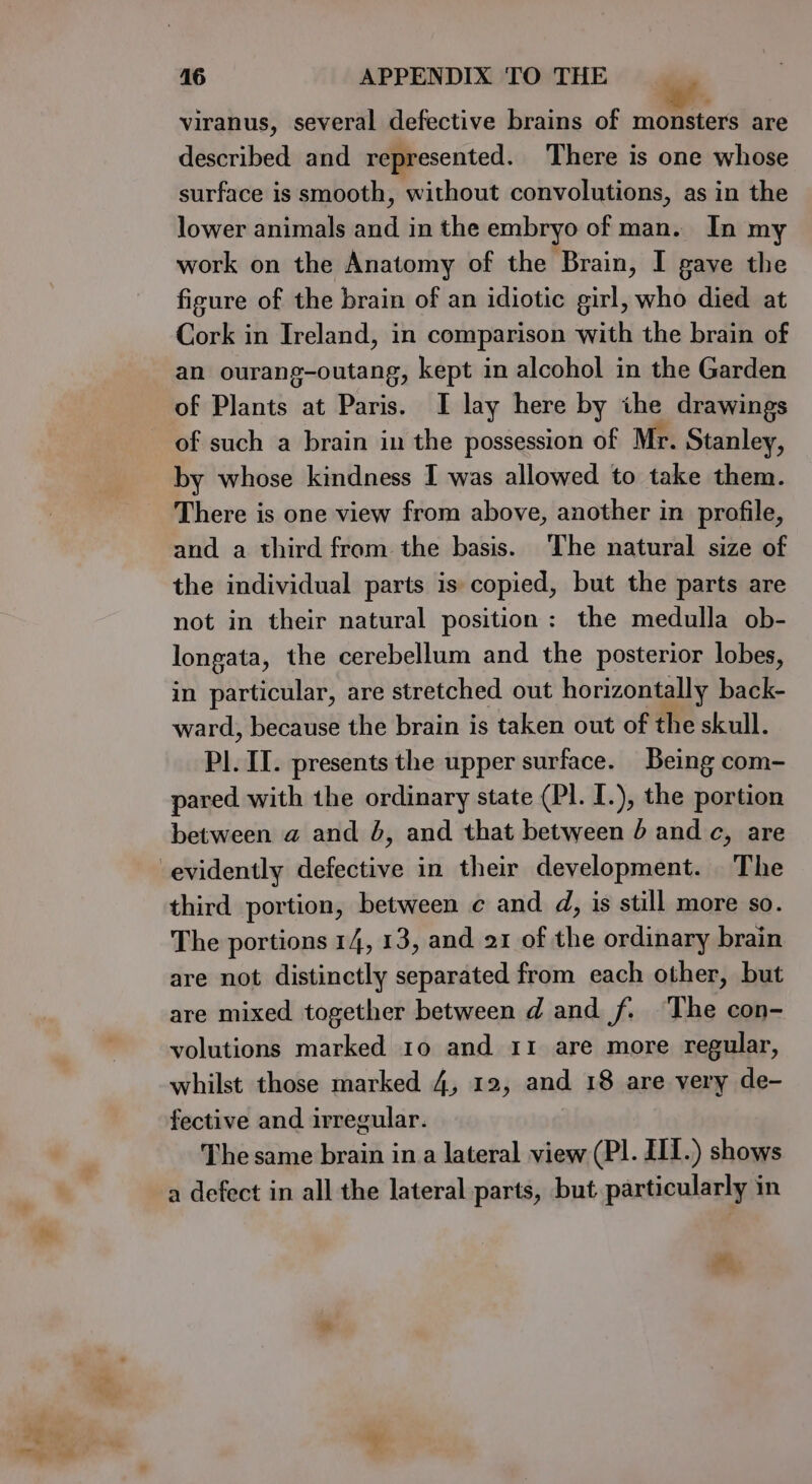 viranus, several defective brains of monsters are described and represented. There is one whose surface is smooth, without convolutions, as in the lower animals and in the embryo of man. In my work on the Anatomy of the Brain, I gave the figure of the brain of an idiotic girl, who died at Cork in Ireland, in comparison with the brain of an ourang-outang, kept in alcohol in the Garden of Plants at Paris. I lay here by the drawings of such a brain in the possession of Mr. Stanley, by whose kindness I was allowed to take them. There is one view from above, another in profile, and a third from the basis. ‘The natural size of the individual parts is copied, but the parts are not in their natural position: the medulla ob- longata, the cerebellum and the posterior lobes, in particular, are stretched out horizontally back- ward, because the brain is taken out of the skull. PI. II. presents the upper surface. Being com- pared with the ordinary state (Pl. I.), the portion between a and J, and that between 4 and c, are third portion, between c and d, is still more so. The portions 14, 13, and 21 of the ordinary brain are not distinctly separated from each other, but are mixed together between d and f. The con- volutions marked 10 and 11 are more regular, whilst those marked 4, 12, and 18 are very de- fective and irregular. The same brain in a lateral view (Pl. III.) shows a defect in all the lateral parts, but particularly in A.