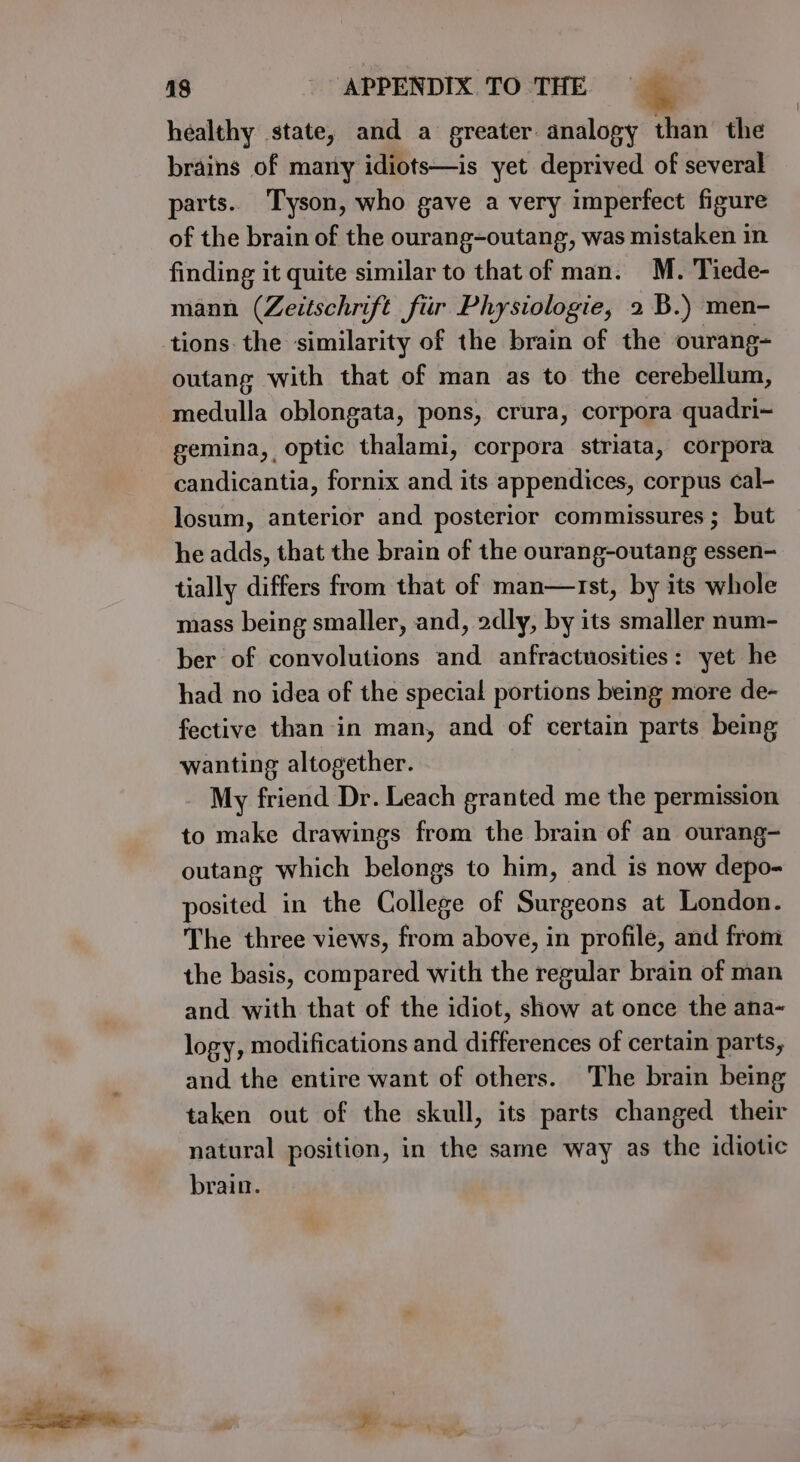 healthy state, and a greater analogy than the brains of many idiots—is yet deprived of several parts. Tyson, who gave a very imperfect figure of the brain of the ourang-outang, was mistaken in finding it quite similar to that of man. M. Tiede- mann (Zeitschrift fiir Physiologie, 2 B.) men- outang with that of man as to the cerebellum, medulla oblongata, pons, crura, corpora quadri- gemina, optic thalami, corpora striata, corpora candicantia, fornix and its appendices, corpus cal- losum, anterior and posterior commissures ; but he adds, that the brain of the ourang-outang essen- tially differs from that of man—rst, by its whole mass being smaller, and, 2dly, by its smaller num- ber of convolutions and anfractuosities: yet he had no idea of the special portions being more de- fective than-in man, and of certain parts being wanting altogether. _ My friend Dr. Leach granted me the permission to make drawings from the brain of an ourang- outang which belongs to him, and is now depo- posited in the College of Surgeons at London. The three views, from above, in profile, and from the basis, compared with the regular brain of man and with that of the idiot, show at once the ana- logy, modifications and differences of certain parts, and the entire want of others. The brain being taken out of the skull, its parts changed their natural position, in the same way as the idiotic brain.