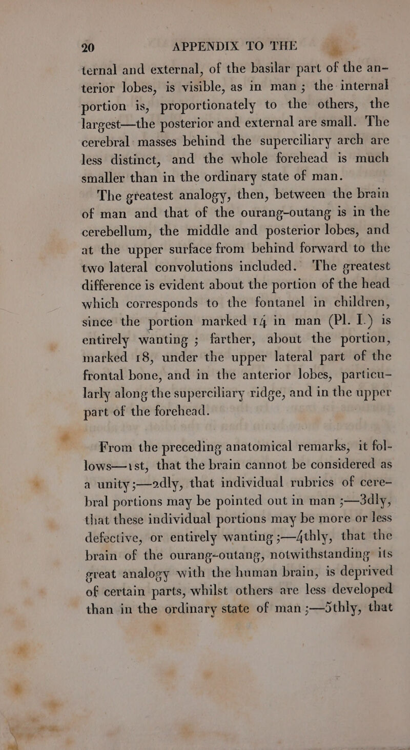 ternal and external, of the basilar part of the an- terior lobes, is visible, as in man; the internal portion is, ‘proportionately to the others, the largest—the posterior and external are small. ‘The cerebral: masses behind the superciliary arch are less distinct, and the whole forehead is much smaller than in the ordinary state of man. The greatest analogy, then, between the brain of man and that of the ourang-outang is in the cerebellum, the middle and posterior lobes, and at the upper surface from behind forward to the two lateral convolutions included. The greatest difference is evident about the portion of the head which corresponds to the fontanel in children, since the portion marked 14 in man (PI. L-) is entirely wanting ; farther, about the portion, marked 18, under the upper lateral part of the frontal bone, and in the anterior lobes, particu- larly along the superciliary ridge, and in the upper part of the forehead. From the preceding anatomical remarks, it fol- lows—1ist, that the brain cannot be considered as a unity ;—2dly, that individual rubrics of cere- bral portions may be pointed out in man ;—3dly, that these individual portions may be more or less defective, or entirely wanting ;—4thly, that the brain of the ourang-outang, notwithstanding” its ereat analogy with the human brain, is deprived of certain parts, whilst others are less developed than in the ordinary state of man ;—Sthly, that hy