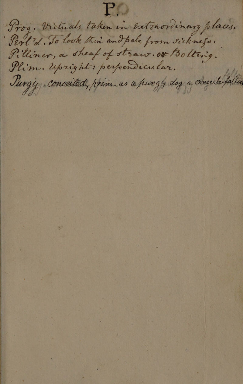 . nee ga tly atin es'e latency enuny places, Rf? ipier, om Sheal of tli aur. ow 130 ling y Phere. lipreg hts prrperd’eular, $ , ft wie FF ae 4 . 7 fifo gus: < 4 r f y Cor fe li } AS Ch, We Gis vi aie £4 ’ , i itis fe ae bar Vit” zi Ah Se ¢ FOAM f ia cies TY é Bt Hy ¢