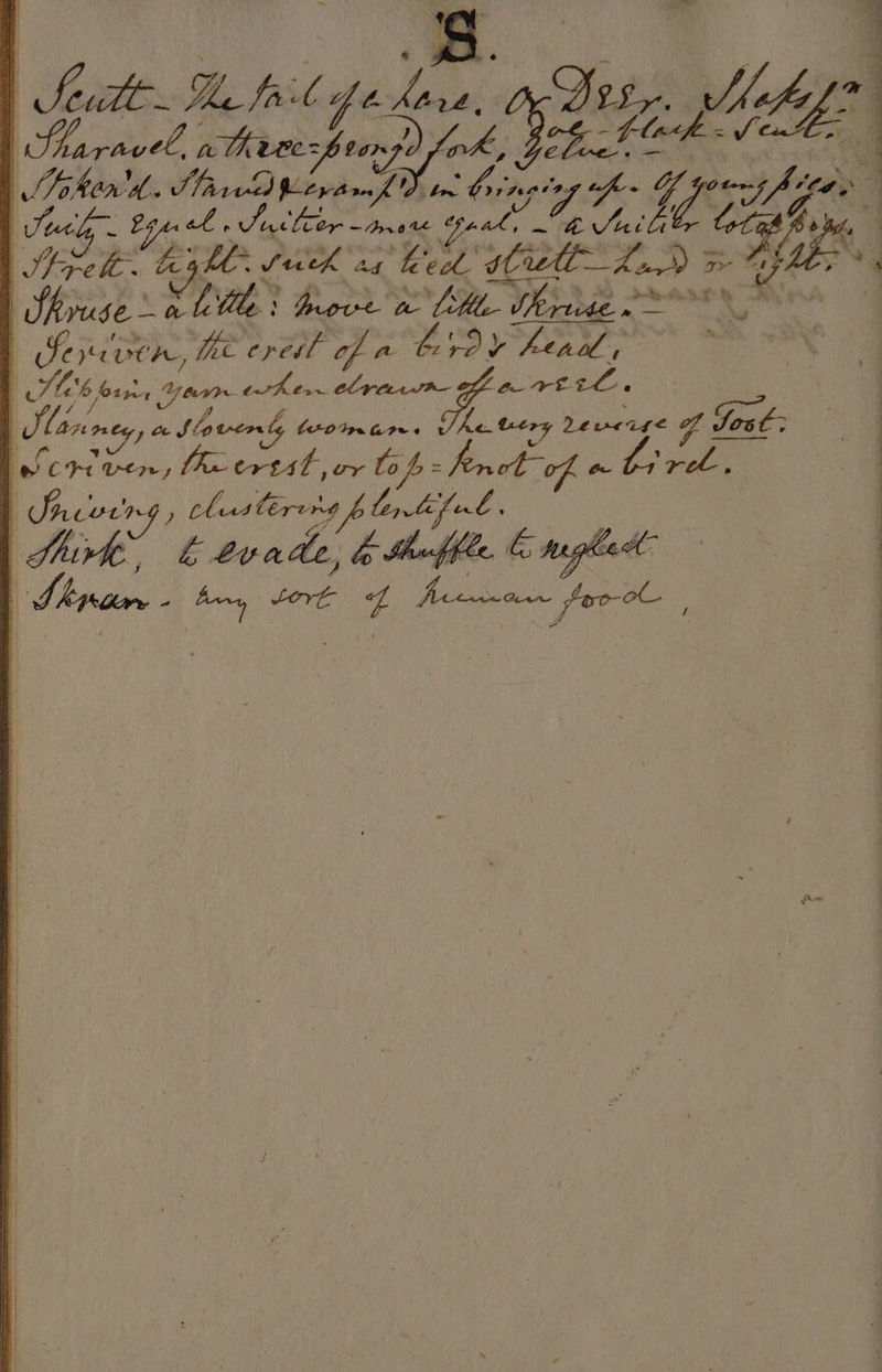 ” | am a athrec:f tang) aoe og - Hath ao Cn 4 To, igi Vareds Cy Are . ne ta Vay 4 6 re ae ot RG yb . were Alt. one Be eth LD 5 OE Hee: Paes katie Seago Ries | Feyat vt, fee crest of a » res a 49 pay leg , | Sb, Gin sas ewher. Clrterwa Paes De aos | Marmey a tavens CHOIR Ges fe tery devcise Y sost: jelcrven, fe crtst, or lop = ai a | Incerng, clusterens f te, rye : pre Levade, Pa Affe ae had | 4 | Sale De fii Life Dog Nog. pe