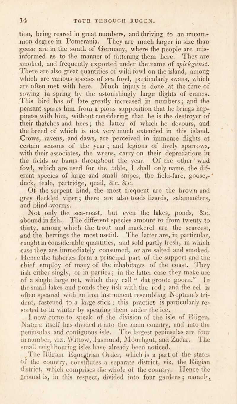 lion, being reared in great numbers, and thriving to an uncom- mon degree in Pomerania. They are much larger in size than geese are in the south of Germany, where the people are mis- informed as to the manner of fattening- them here. They are smoked, and frequently exported under the name of spickgdnse. There are also great quantities of wild fond on the island, among which are various species of sea fowl, particularly swans, which are often met with here. Much injury is done at the time of sowing in spring by the astonishingly large flights of cranes. This bird has of late greatly increased in numbers; and the peasant spares him from a pious supposition that he brings hap- piness with him, without considering that he is the destroyer of their thatches and bees; the latter of which he devours, and the breed of which is not very much extended in this island. Crows, ravens, and daws, are perceived in immense flights at certain seasons of the year; and legions of lively sparrows, with their associates, the wrens, carry on their depredations in the fields or barns throughout the year. Of the other' wild fowl, which are used for the table, I shall only name the diff- erent species of large and small snipes, the field-fare, goose,- * duck, teale, partridge, quail, &c. &c. Of the serpent kind, the most frequent are the brown and grey fleckled viper; there are also toads lizards, salamanders, and blind-worms. Not only the sea-coast, but even the lakes, ponds, &c. abound in fish. The different species amount to from twenty to thirty, among which the trout and mackerel are the scarcest, and the herrings the most useful. The latter are, in particular, caught in considerable quantities, and sold partly fresh, in which case they are immediately consumed, or are salted and smoked. Hence the fisheries form a principal part of the support and the chief employ of many of the inhabitants of the coast. They fish either singly, or in parties; in the latter case they make use of a single large net, which they call “ dat groote goorn.” in the small lakes and ponds they fish with the rod ; and the eel is often speared with an iron instrument resembling Neptune’s tri- dent, fastened to a large stick : this practice is particularly re- sorted to in winter by spearing them under the ice. I now come to speak of the division of the isle of Riigen. Nature itself has divided it into the main country, and into the peninsulas and contiguous isle. The largest peninsulas are four in number, viz. Wittow, J.asmund, Moueligut, and Zudar. The small neighbouring isles have already been noticed. O o J /The Riigian Equestrian Order, which is a part of the states of the country, constitutes a separate district, viz. the Riigian district, which comprises the whole of the country. Hence the ground is, in this respect, divided into four gardens; namely*