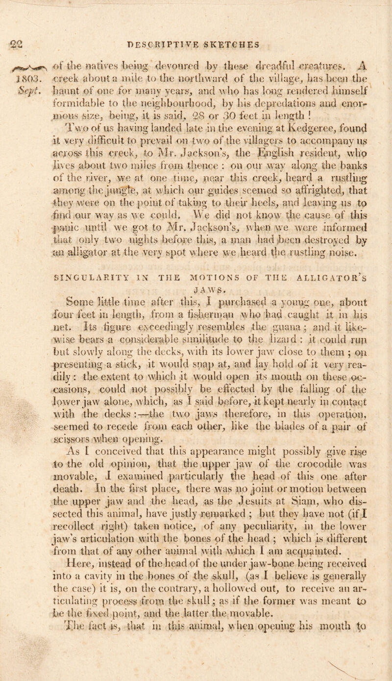 of the natives being devoured by these dreadful creatures. A 1803. creek about a mile to the northward of the village, has been the Sept, haunt of one for many years, and who has long rendered himself formidable to the neighbourhood, by Iris depredations and enoi> mous size, being, it is said, 28 or 30 feet in length ! Two of us having landed late in the evening at Kedgeree, found it very difficult to prevail on two of the villagers to accompany us across this creek, to Mr. Jackson's, the English resident, who lives about two miles from thence : on our wav along the banks of the river, we at one tune, near this creek, heard a rustling among the jungle, at which our guides seemed so affrighted, that •they were on the point of taking to their heels, and leaving us to find our way as we could. We did not know the cause of this panic until we got to Mr. Jackson’s, when we were informed that only two nights before this, a man had been destroyed by an alligator at the very spot where we heard the rustling noise. SINGULARITY IN THE MOTIONS OF THE ALLIGATOR’S J A W S. Some little time after this, I purchased a young one, about four feet in length, from a fisherman who had caught it in his net. Its figure exceedingly resembles the guana ; and it like- wise bears a considerable similitude to the lizard •: it could run but slowly along the decks, with its lower jaw close to them ; on presenting a stick, it would snap at, and lay hold of it very rea- dily : the extent to which it would open its mouth oil these oc- casions, could not possibly be effected by the falling of the lower jaw alone, which, as I said before, it kept nearly in contact w ith the decks -the two jaws therefore, in this operation, seemed to recede from each other, like the blades of a pair of scissors when opening. As I conceived that this appearance might possibly give rise to the old opinion, that the upper jaw of the crocodile was movable, I examined particularly the head of this one after death. In the first place, there was no joint or motion between the upper jaw and the head, as the Jesuits at Siam, who dis- sected this animal, have justly remarked ; but they have not (if I recollect right) taken notice, of any peculiarity, in the lower jaw’s articulation with the bones of the head ; which is different from that of any other animal with which I am acquainted. Here, instead of the head of the under jaw-bone being received into a cavity in the bones of the skull, (as I believe is generally the case) it is, on the contrary, a hollowed out, to receive an ar- ticulating process from the skull; as if the former was meant to be the fixed point, and the latter the movable. The fact is, that in this animal, when opening his mouth to