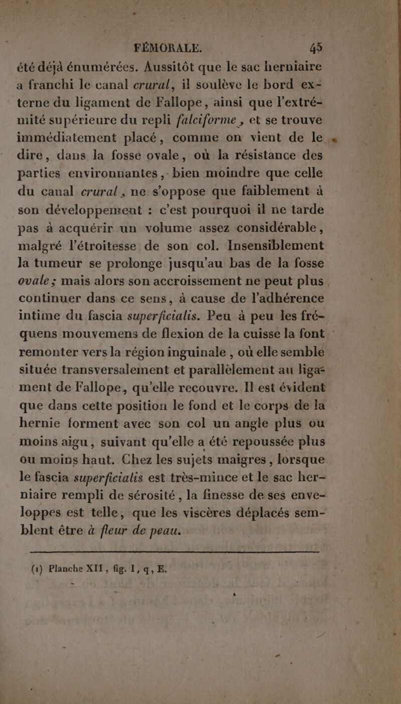 été déjà énumérées. Aussitôt que le sac herniaire a franchi le canal crural, il soulève le bord ex- terne du ligament de Fallope, ainsi que l’extré- mité supérieure du repli falciforme , et se trouve immédiatement placé, comme on vient de le dire, dans la fosse ovale, où la résistance des parties environnantes , bien moindre que celle du canal crural, ne s'oppose que faiblement à son développement : c’est pourquoi il ne tarde pas à acquérir un volume assez considérable , malgré l’étroitesse de son col. Insensiblement la tumeur se prolonge jusqu’au bas de la fosse ovale ; mais alors son accroissement ne peut plus continuer dans ce sens, à cause de l’adhérence intime du fascia superficialis. Peu à peu les fré- quens mouvemens de flexion de la cuisse la font remonter vers la région inguinale , où elle semble située transversalement et parallèlement au liga= ment de Fallope, qu’elle recouvre. Il est évident que dans cette position le fond et le corps de la hernie forment avec son col un angle plus ou moins aigu, suivant qu'elle a été repoussée plus ou moins haut. Chez les sujets maigres, lorsque le fascia superficialis est très-mince et le sac her- niaire rempli de sérosité , la finesse de ses enve- loppes est telle, que les viscères déplacés sem- blent être à fleur de peau. (1) Planche XII, fig. 1,q,E. -