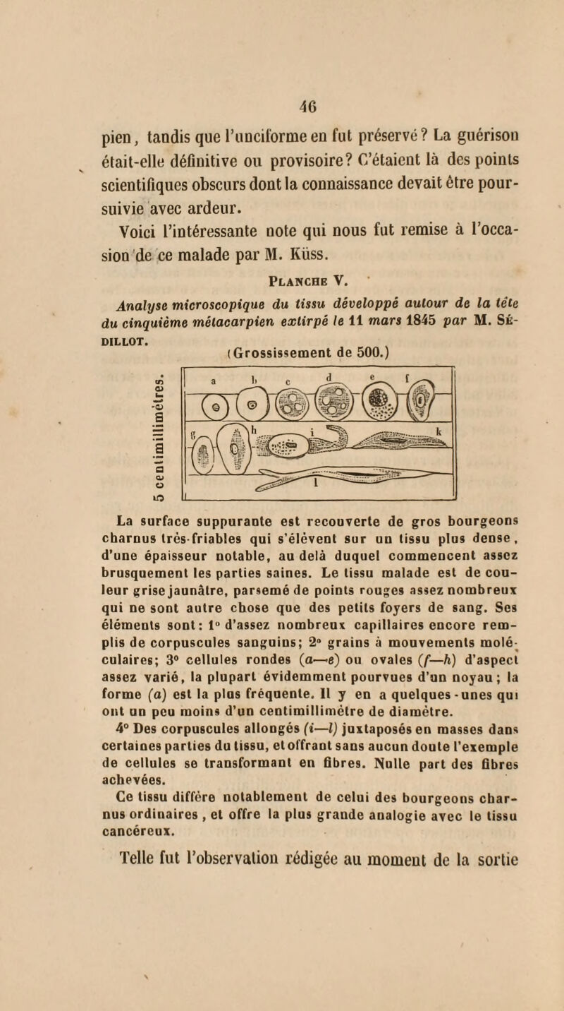 pien, tandis que l’unciforme en fut préservé? La guérisou était-elle définitive ou provisoire? C’étaient là des points scientifiques obscurs dont la connaissance devait être pour¬ suivie avec ardeur. Voici l’intéressante note qui nous fut remise à l’occa¬ sion de ce malade par M. Küss. Planche V. Analyse microscopique du tissu développé autour de la tête du cinquième métacarpien extirpé le 11 mars 1845 par M. SÉ- DILLOT. (Grossissement de 500.) La surface suppurante est recouverte de gros bourgeons charnus très-friables qui s’élèvent sur un tissu plus dense, d’une épaisseur notable, au delà duquel commencent assez brusquement les parties saines. Le tissu malade est de cou¬ leur grise jaunâtre, parsemé de points rouges assez nombreux qui ne sont autre chose que des petits foyers de sang. Ses éléments sont: 1° d’assez nombreux capillaires encore rem¬ plis de corpuscules sanguins; 2° grains à mouvements molé culaires; 3° cellules rondes (a—e) ou ovales (f—h) d’aspect assez varié, la plupart évidemment pourvues d’un noyau; la forme (a) est la plus fréquente. Il y en a quelques-unes qui ont un peu moins d’un centimillimétre de diamètre. 4° Des corpuscules allongés (i—l) juxtaposés en masses dans certaines parties du tissu, etoffrant sans aucun doute l'exemple de cellules se transformant en fibres. Nulle part des fibres achevées. Ce tissu diffère notablement de celui des bourgeons char¬ nus ordinaires , et offre la plus grande analogie avec le tissu cancéreux. Telle fut l’observaliou rédigée au momeut de la sortie