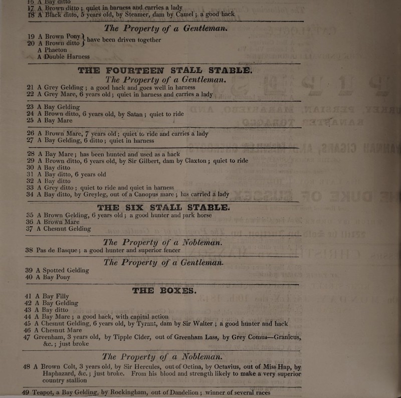 10 A .bay ditto 17 A Brown ditto ; quiet in harness and carries a lady 18 A Black ditto, 5 years old, by Steamer, dam by Camel; a good hack The Property of a Gentleman. 19 A Brown Pony 1 h b , . th 20 A Brown ditto/ uuvtn logemei A Phaeton A Double Harness THE FOURTEEN STALE. STABLE. The Property of a Gentleman. 21 A Grey Gelding ; a good hack and goes well in harness 22 A Grey Mare, 6 years old; quiet in harness and carries a lady 23 A Bay Gelding 24 A Brown ditto, 6 years old, by Satan ; quiet to ride 25 A Bay Mare j 26 A Brown Mare, 7 years old; quiet to ride and carries a lady 27 A Bay Gelding, 6 ditto; quiet in harness 28 A Bay Mare; has been hunted and used as a hack 29 A Brown ditto, 6 years old, by Sir Gilbert, dam by Claxton; quiet to ride 30 A Bay ditto 31 A Bay ditto, 6 years old 32 A Bav ditto «r 33 A Grey ditto ; quiet to ride and quiet in harness 34 A Bay ditto, by Greyleg, out of a Canopus mare ; has carried a lady j THE SIX STALL STABLE, 35 A Brown Gelding, 6 years old ; a good hunter and park horse 36 A Brown Mare 37 A Chesnut Gelding The Property of a Nobleman. 38 Pas de Basque; a good hunter and superior fencer The Property of a Gentleman. 39 A Spotted Gelding 40 A Bay Pony j* .£> THE BOXES. 41 A Bay Filly 42 A Bay Gelding 43 A Bay ditto 44 A Bay Mare; a good hack, with capital action 45 A Chesnut Gelding, 6 years old, by Tyrant, dam by Sir Walter ; a good hunter and hack 46 A Chesnut Mare 47 Greenham, 3 years old, by Tipple Cider, out of Greenham Lass, by Grey Cornua—Granicus, &c.; just broke The Property of a Nobleman. 48 A Brown Colt, 3 years old, by Sir Hercules, out of Octina, by Octavius, out of Miss Hap, by Haphazard, &c.; just broke. From his blood and strength likely to make a very superior country stallion \ ' 49 Teapot, a Bay Gelding, by Rockingham, out of Dandelion ; winner of several races