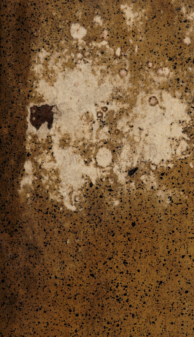 digitised image 1