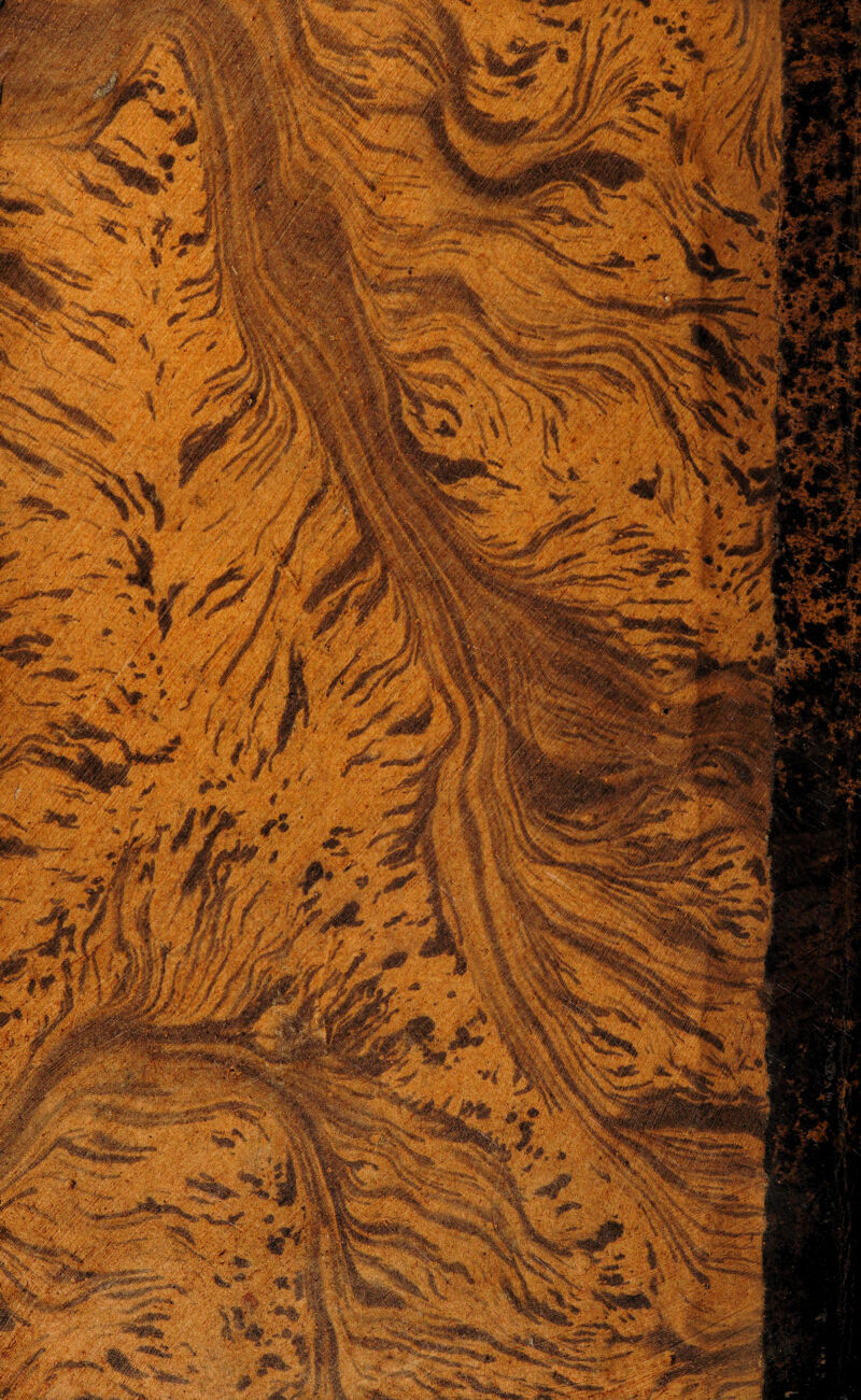 wmm'% Wmhw' & ; % A ■ r, i ;t’V. • /-*£ wmp ^^#^rv',.. **