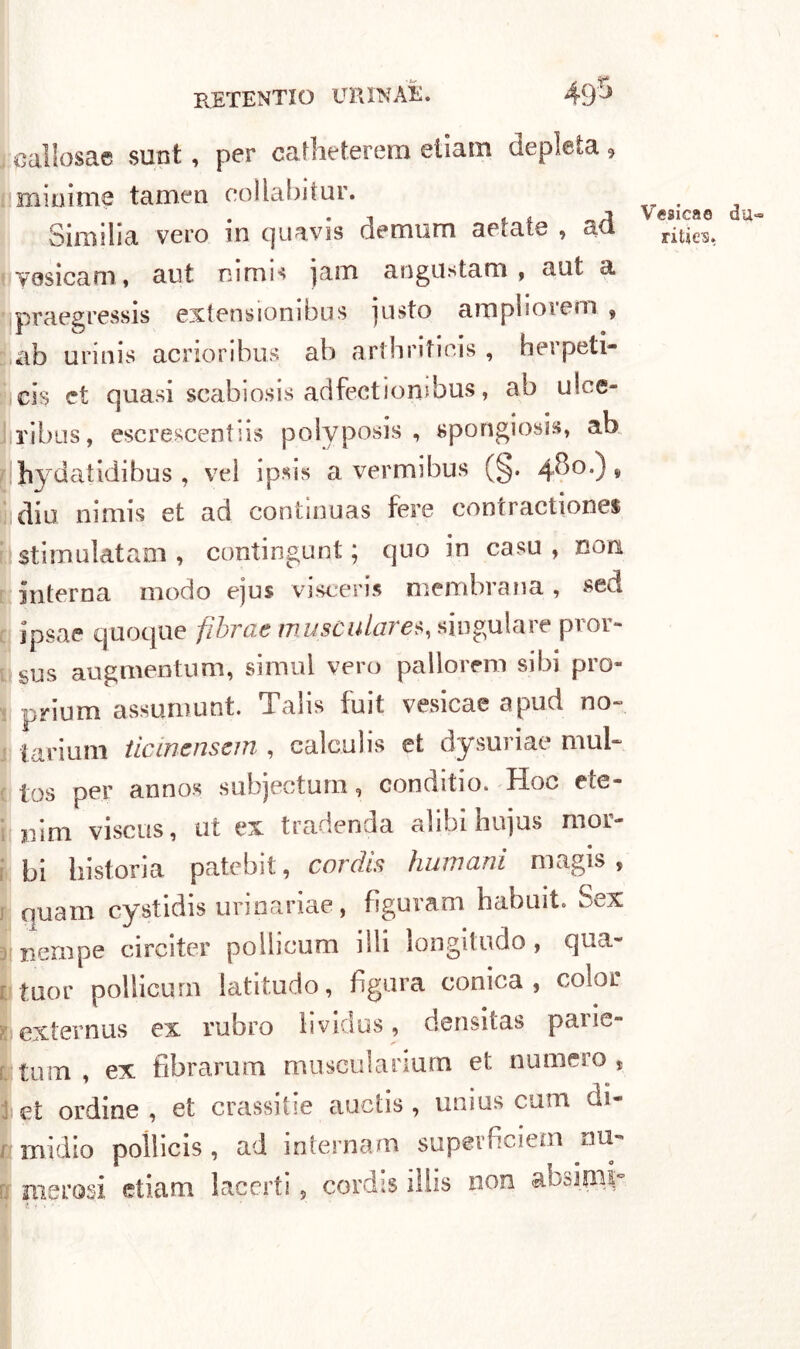 callosac sunt, per cafheterem eliam depleta, minime tarnen eollabitur. V 3 1 (f* fjlj0 Simìlia vero in quavis demnm aerate , ad rities, yosicam » aut nimis jam angustam ? aut a praegressis extensionibus justo am pii ore m , ab urinis acrioribus ab arthritieis , herpeti- ci s et quasi scabiosis adfectiombus, ab uSee- ribns, escrescentlis polyposis , spongiosis, ab hydatidibus , veì ipsis a vermibus (§. 480.), dio nimis et ad contìnuas fere contractiones stimolataci, contingunt ; quo in casu , non interna modo ejus visceri* membrana, $ed ipsae quoque fibrae musùulare% «iugulare pror- sus augmentum, simui vero pallorem sibi prò- prium assumunt. Taìis fuit vesicae a pud no- tari uni tìcincnsem , calculis et dysuriae mul- tos per annos suhjeetum, con (litio. Hoc eie- 11 ini visciis, ut ex tradenda alibi hujus mor- bi historia patebit, cordis fiumani magis , quam cystidis urinariae, figuram habuit. Sex ne rupe circiter poiiicum illi longitudo, qua- tuor poiiicum latit.udo, figura conica, color externus ex rubro lividus, densitas parie- tali! , ex fibrarum muscuìanum et numero * et ordine , et crassule auctis, unius cum di- midio poiìicis, ad internam superficiem nu- merosi ctiam lacerti, cordis illis non akimy