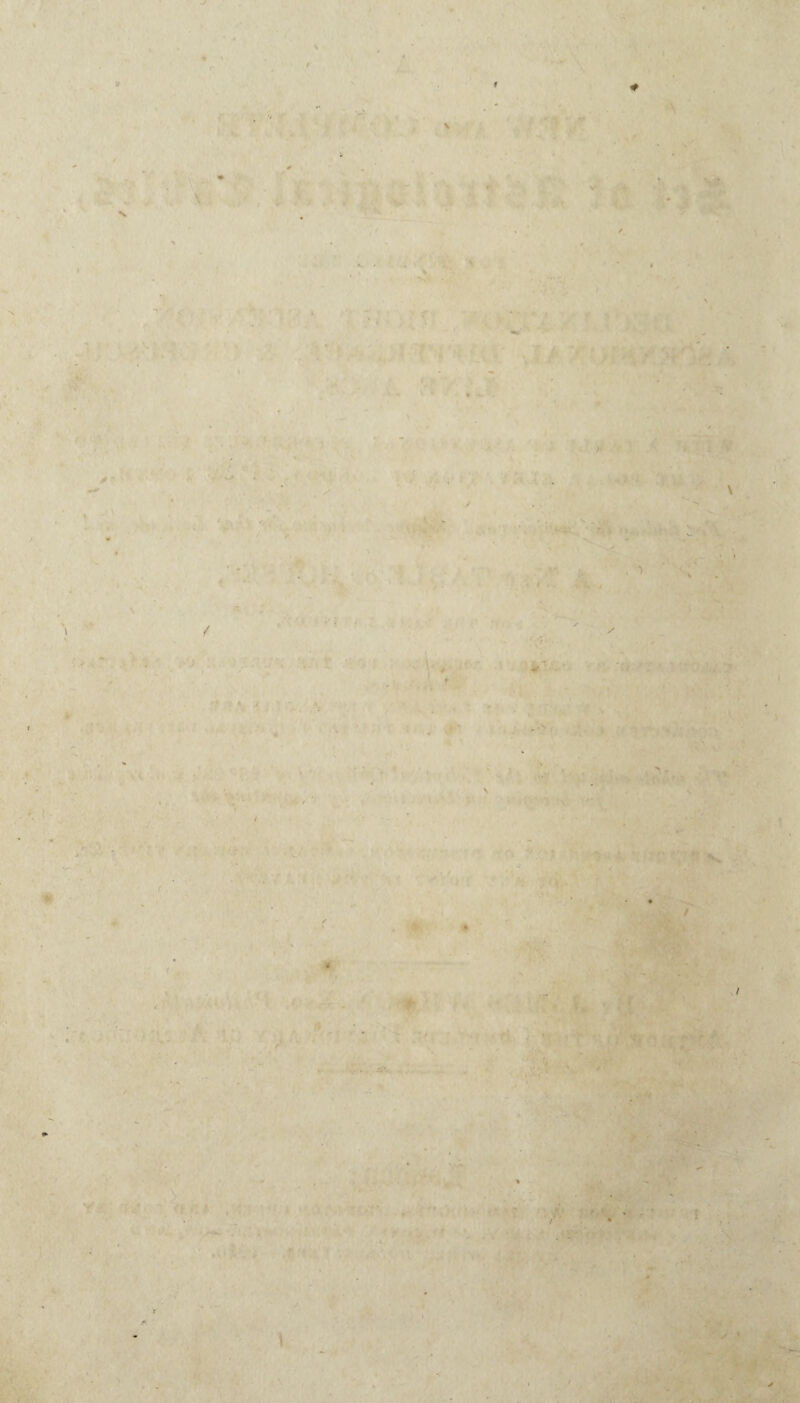 V ■ . -S » S 1 . , .1 4 / - ' i ■; . r ■ \ *■ i:, %. V-. ;* ’ > . ’> . \ S • *dlt , ^ G  ■ » < . : 'I .. • ;• . 'i ■ r 1 > r ■ / / , 1 ■ s •