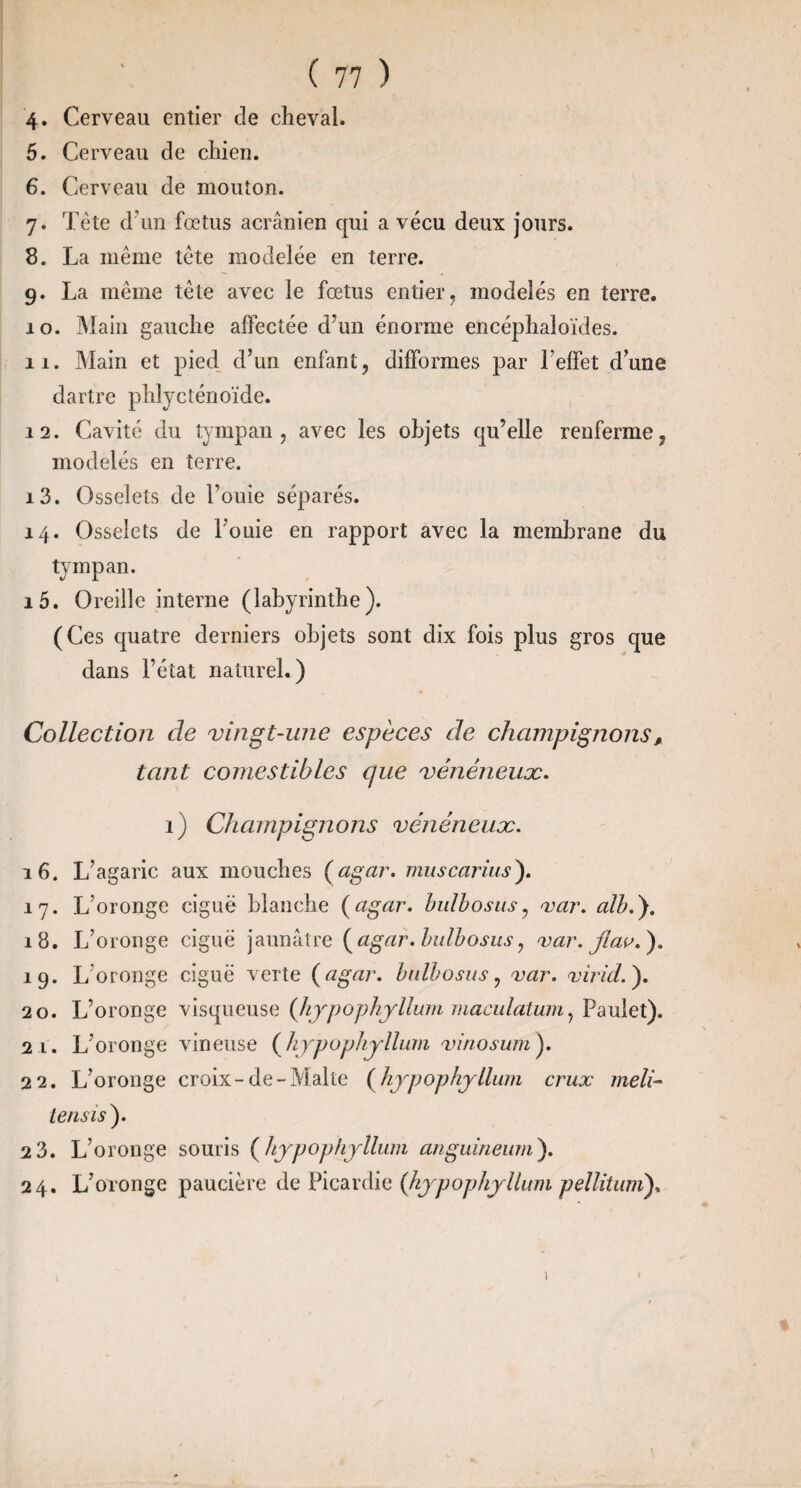4. Cerveau entier de cheval. 5. Cerveau de chien. 6. Cerveau de mouton. 7. Tête dhm fœtus acrânien qui a vécu deux jours. 8. La même tête modelée en terre. 9. La même tête avec le fœtus entier, modelés en terre. 10. ]\Iain gauche affectée d’un énorme encéphaloïdes. 11. Main et pied_ d’un enfant, difformes par l’effet d’une dartre phlycténoïde. 12. Cavité du tympan, avec les objets qu’elle renferme, modelés en terre. 13. Osselets de Fouie séparés. 14. Osselets de Fouie en rapport avec la membrane du tympan. 15. Oreille interne (labyrinthe). (Ces quatre derniers objets sont dix fois plus gros que dans Fétat naturel.) Collection de vingt-une espèces de champignons, tant comestibles que vénéneux. 1) Champignons vénéneux. 16. L’agaric aux mouches (agar. muscarius). 17. L’oronge ciguë blanche (agar. bulbosiis^ var. alb,), 18. L’oronge ciguë jaunâtre (^agar. bulbosus^ var. 19. L’oronge ciguë verte (agar. bidbosus, var. virid.^. 20. L’oronge visqueuse (JijpophjUum maculatum^ Paulet). 21. L’oronge vineuse (^hjpophjllum vinosumy 22. L’oronge croix-de-Malte (^hjpophjlhnn crux meli- le nsi s). 2 3. L’oronge souris {hjpophjlliim anguineiim). 24. L’oronge paucière dQ PlcsudiQ (kj^pophyllum pellitum)^ I