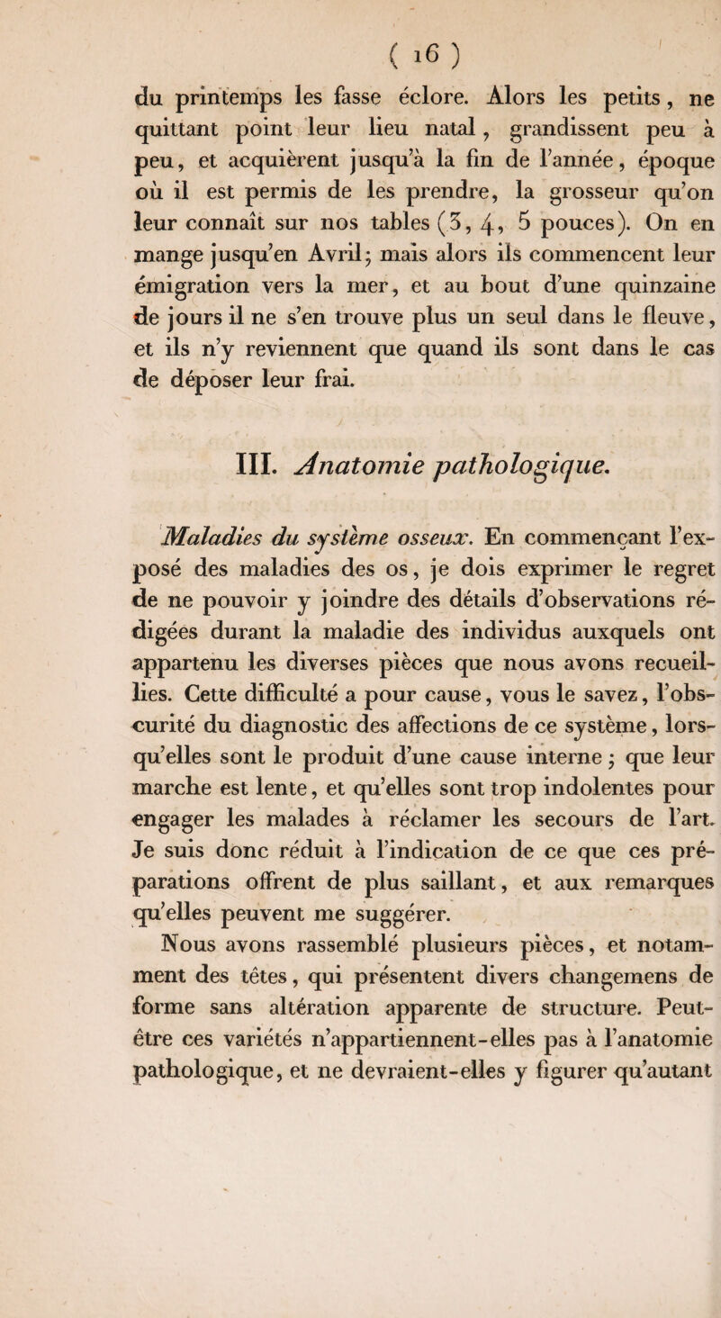 ( 1(3 ) du printemps les fasse éclore. Alors les petits, ne quittant point leur lieu natal , grandissent peu à peu, et acquièrent jusqu’à la fin de l’année, époque où il est permis de les prendre, la grosseur qu’on leur connaît sur nos tables (.5,4* 5 pouces). On en mange jusqu’en Avril; mais alors ils commencent leur émigration vers la mer , et au bout d’une quinzaine de jours il ne s’en trouve plus un seul dans le fleuve, et ils n’y reviennent que quand ils sont dans le cas de déposer leur frai. j ■ ' ' ' III. dnatomie pathologique. Maladies du système osseux. En commençant f ex¬ posé des maladies des os, je dois exprimer le regret de ne pouvoir y joindre des détails d’observations ré- digées durant la maladie des individus auxquels ont appartenu les diverses pièces que nous avons recueil¬ lies. Cette difficulté a pour cause, vous le savez, l’obs¬ curité du diagnostic des affections de ce système, lors¬ qu’elles sont le produit d’une cause interne ; que leur marche est lente, et qu’elles sont trop indolentes pour engager les malades à réclamer les secours de l’art. Je suis donc réduit à l’indication de ce que ces pré¬ parations offrent de plus saillant, et aux remarques qu’elles peuvent me suggérer. Nous avons rassemblé plusieurs pièces, et notam¬ ment des têtes, qui présentent divers changemens de forme sans altération apparente de structure. Peut- être ces variétés n’appartiennent-elles pas à l’anatomie pathologique, et ne devraient-elles y figurer qu’autant