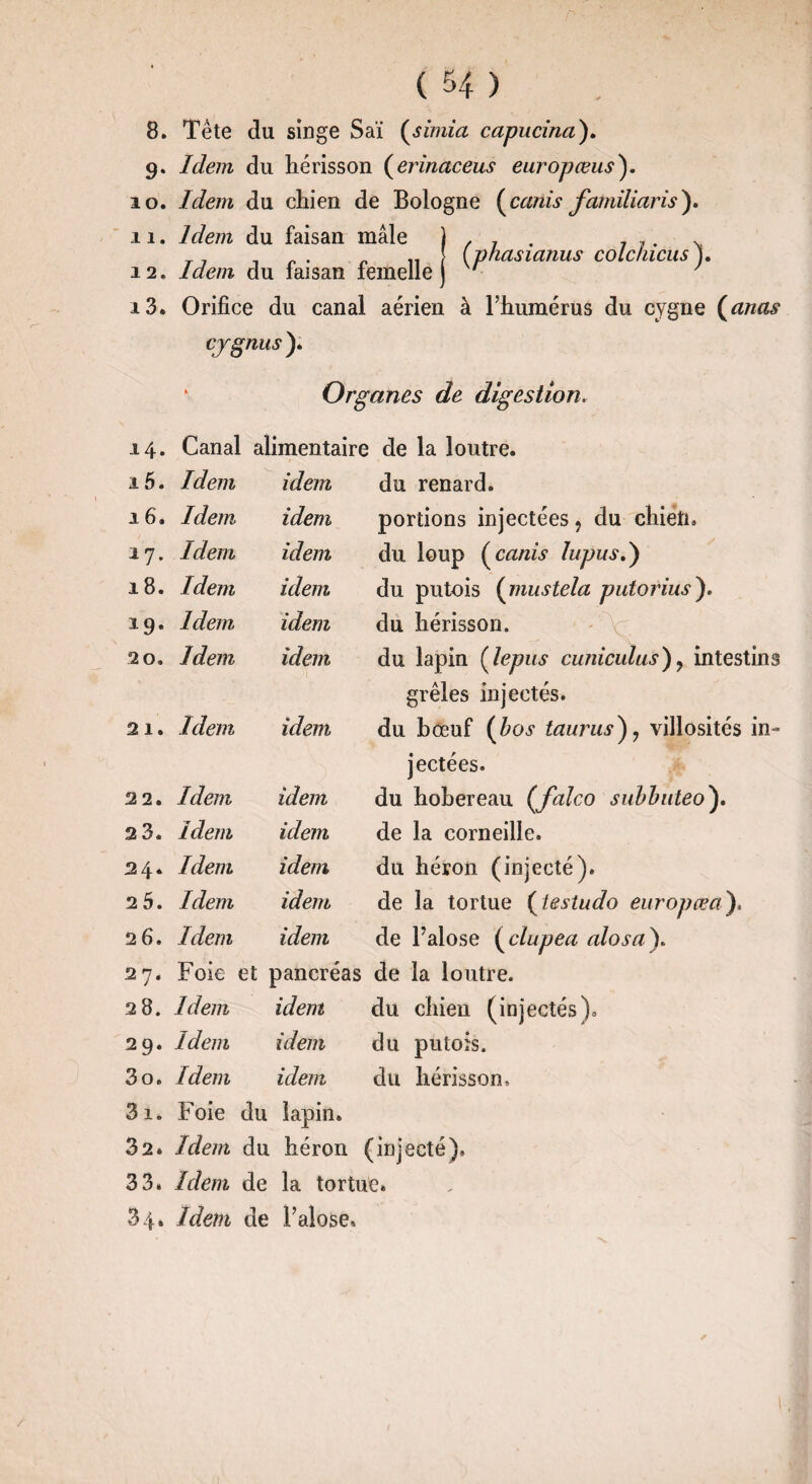 8. Tête du singe Saï (simia capucina). 9. Idem du hérisson (erinaceus europœus). 10. Idem du chien de Bologne (canis familiaris). 11. Idem du faisan mâle ) . 7 7 7. , „ (phasianus colc/iicus). 12. Idem du faisan iemelle J ' 7 13. Orifice du canal aérien à l’humérus du cygne (anas eygnus ). * Organes de digestion. 14. Canal alimentaire de la loutre. 15. Idem idem du renard. 16, Idem idem portions injectées, du chieti. 17* Idem idem du loup (canis lupus.) 18. Idem idem du putois (mustela putorius). 19. Idem idem du hérisson. « \ 20. Idem idem du lapin (lepus cuniculus) ? intestins grêles injectés. 21. Idem idem du bœuf (bos taurus)? villosités in¬ jectées. 22. Idem idem du hobereau Çfalco subbiiteo). 2 3* Idem idem de la corneille. 24* Idem idem du héron (injecté). 2 5. Idem idem de la tortue 0esiu(^0 europœa), 2 6. Idem idem de l’alose (clupea (dosa). 27. Foie et pancréas de la loutre. 28. Idem idem du chien (injectés). 29. idem idem du putois. 3o. Idem idem du hérisson. 31. Foie du lapin. 32. Idem du héron (injecté). 33. Idem de la tortue. 34» Idem de l’alose.