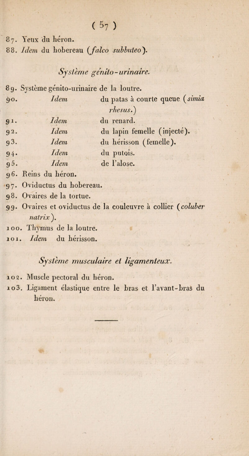 ( $7 ) 87. Yeux du héron. 88. Idem du hobereau (<falco subbuteo'). Système genito - urinaire. 89. Système génito-urinaire de la loutre. 90. Idem du patas à courte queue (simia rhésus. ) 91- Idem du renard. 9 2* Idem du lapin femelle (injecté). 93. Idem du hérisson (femelle). 94- Idem du putois. 95. Idem de Lalose. 96. Reins du héron. 97. Oviductus du hobereau. 98. Ovaires de la tortue. 99. Ovaires et oviductus de la couleuvre à collier (coluber natrix). 100. Thymus de la loutre. 101. Idem du hérisson. .» I ^ 1 Système musculaire et ligamenteux. ' 1 102. Muscle pectoral du héron. 10 3. Ligament élastique entre le bras et Lavant-bras du héron.