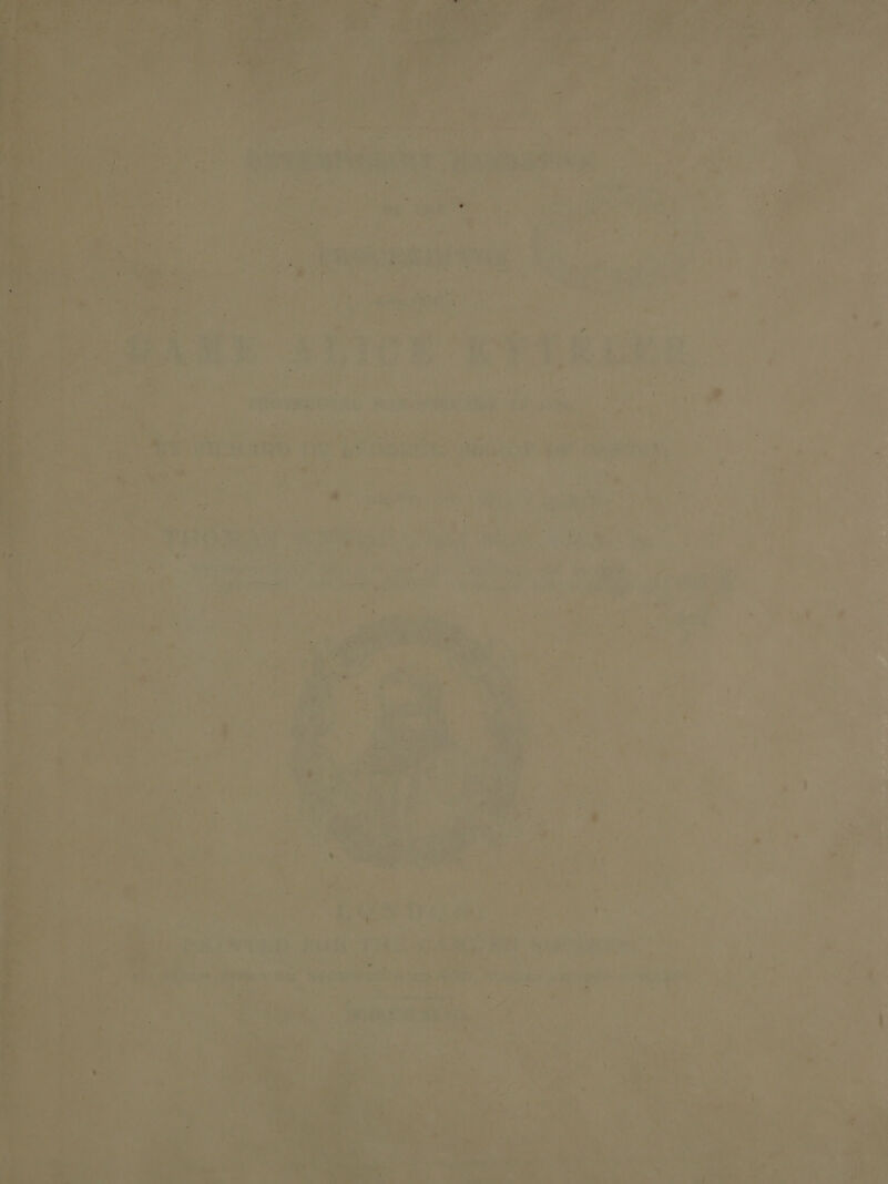 Ce. ha aoe eo . = ie ¢ hg it ide ; i i ar 2 ao ta Winds Wadi fiat ARG: fe = iat hese ds Maar AS ; 4 ¢ VE NGM EEy tha be cc Te ok | © ) a ~*~ cs = ro ‘ if ; ei a! bd ” 7 = 7 aa : et) a r J i =