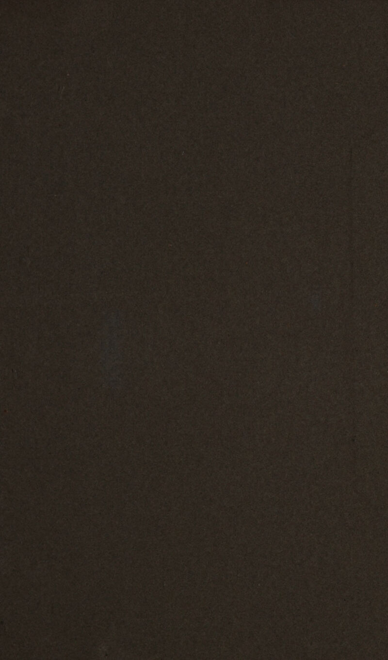 LE NS D OI A  a EL TE AS JE « MR AE DL FD ANS nl LR PES de V # dl L'ryLN ter? ve