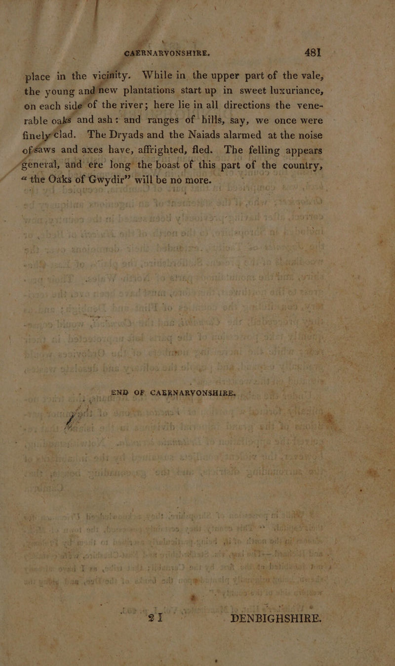 Pe ye \ sk 4 iv CAERNARVONSHIRE. 481 \ place in the vigifty. While i in, the upper wat 9 the vale, the young and new plantations start up in sweet luxuriance, on each side of the river; here lie in all directions the vene- rable oaks and ash: and ranges of ‘hills, say, we once were finelyClad. The Dryads and the Naiads alarmed at the noise ofsaws and axes have, affrighted, fled. The felling appears /geneal, and ere’ long the boast of this part of the country, fe the Oaks of Hy cit | will be x no more. } ; END OF CAERNARYVONSHIRE. ai Mis! ‘ b Fics MB | t ho | “21° DENBIGHSHIRE. he