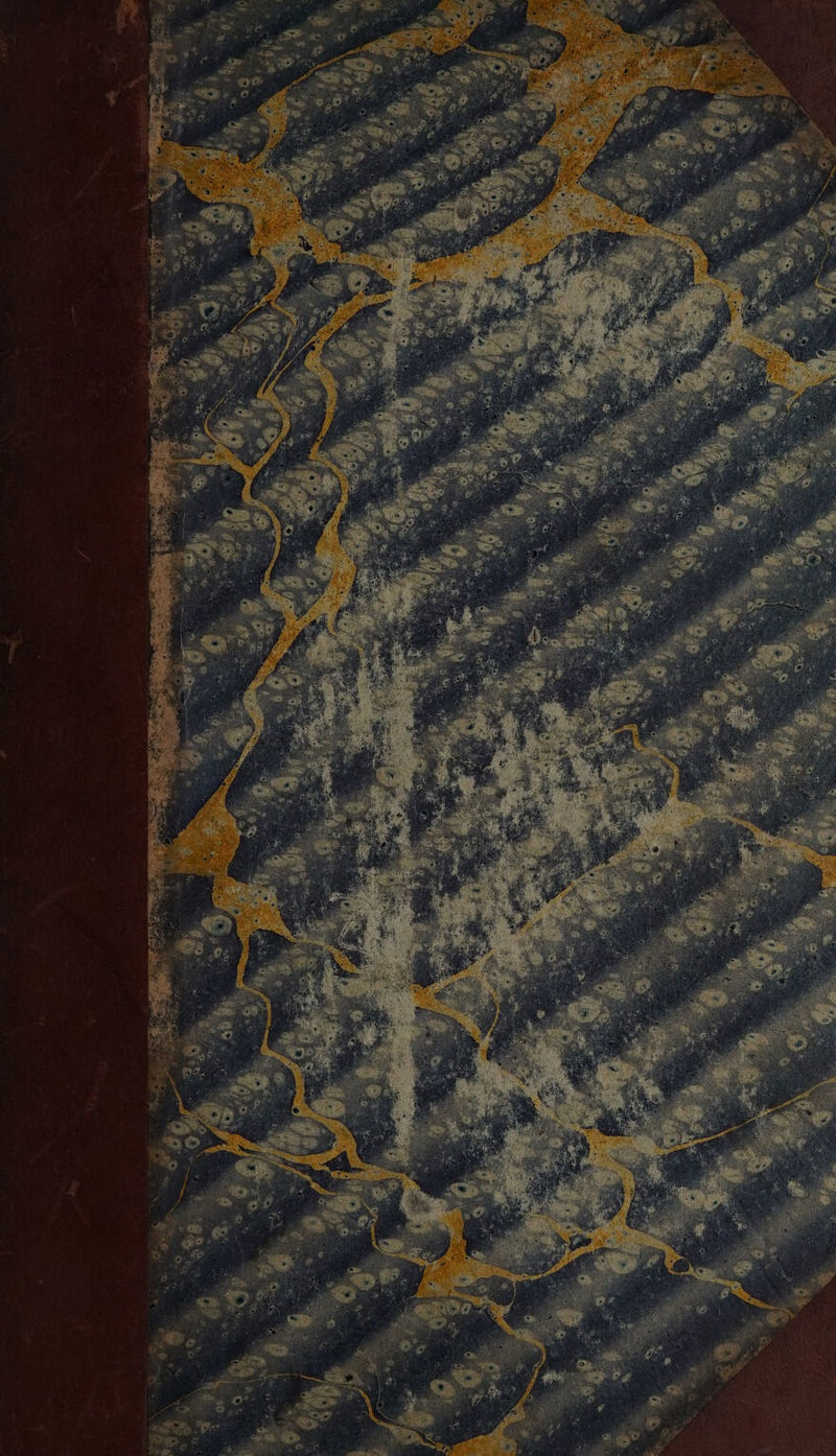 No text description is available for this image