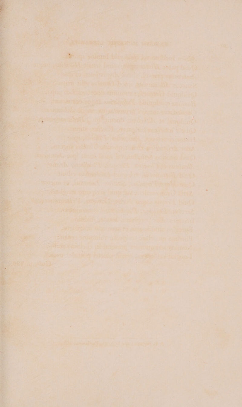 teem —s siies bag? iri, otis A coils fis ce a3 3 opel esa | ; 7 whe Tite Fe a mer iy%t fie Reet se — Pages: | sertlanparic € Oe: = cial: eft LEH se Saint # aS a RISEN WFinEs POUga ES Bilis? ech eee Suse a fe , . hatoty lita: none s é als