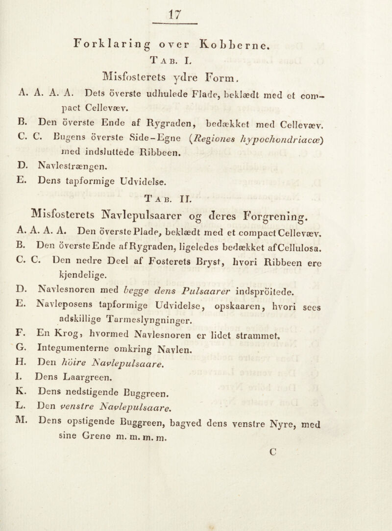 Forklaring over Ko L Lerne. Tab. L Misfoslerets ydre Form. A. A. A. A. Dels oversle udhulede Flade, beklædt med et com- pact Cellevæv. B. Den o verste Ende af Rygraden, bedækket med Cellevæv. C. C. Lugens overste Side —Egne {Regioues hypochondviacce) med indsluttede Ribbeen. D. Navlesirængen. E. Dens tapformige Udvidelse. Tab. IL Misfosterets Kaylepnlsaarer og deres Forgrening. A. A. A. A. Den overste Plade, beklædt med et compact Cellevæv. B. Den overste Ende af Rygraden, ligeledes bedækket afCellulosa. C. C. Den nedre Deel af Fosterets Bryst, hvori Ribbeen ere kjendelige. D. Navlesnoren med begge dens Pulsctcirer indsprøjtede. E. Navleposens tapformige Udvidelse, opskaaren, hvori sees adskillige 1 armeslyngninger. F. En Krog, hvormed Navlesnoren er lidet strammet, G. Integumenterne omkring Navlen. H. Den hbire Navlepulsacire. I. Dens Laargreen. K. Dens nedstigende Buggreen. L. Den venstre JSctplepulsaare. M. Dens opstigende Buggreen, bagved dens venstre Nyre, med sine Grene m. m. m. m. C