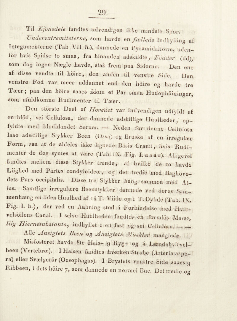 Til Kjonsdele fandtes udvendigen ikke mindste Spor. IJnderextremiteterne, som havde en fælleds Indbylling af Integumenterne (Tab VII h.), dannede en Pyramidalform, uden¬ for hvis Spidse to smaa, fra hinanden adskildte, Fodder (dd), som dog ingen Nægie havde, stak frem paa Siderne. Den ene af disse vendte til lioire, den anden til venstre Side. Den venstre Fod var meer uddannet end den hoire og havde tre Tæer; paa den hoire saaes ikkun et Par smaa Hudophoininger, som ufuldkomne Rudimenter til Tæer. Den storste Deel af Hovedet var indvendigen udfjddt af en blod, sei Cellulosa, der dannede adskillige Huulheder,’ 0p- fyldte med blodbiandet Serum. — Neden for denne Cellulosa laae adskillige Stykker Been (Ossa) og Bruske af en irregulær Form, saa at de aldeles ikke lignede Basis Cranii, hvis Rudi¬ menter de dog syntes at være (Tab. IX. Fig. I. aaaa). Alligevel _ fandtes mellem disse Stykker trende, af hvilke de to havde Liighed med Partes condyloideæ, og del tredie med Baghove¬ dets Pars occipitalis. Disse tre Stykker hang sammen med At¬ las. Samtlige irregulære Beenstykker dannede ved deres Sam¬ menhæng en liden Huulhed af iJT. Viide og i T. Dybde (Tab. IX. Fig. I. b.), der ved en Aabning stod i Forbindelse med Hvir¬ velsodens Canal. I selve Huullieden fandtes en formlus Masse, Hiernesubstctnts, indhyllet i en fast og sei Cellulosa._— Alle yinsigtets Been og yinsigtets lUushler manglede. Misfosteret havde 8te Ffals- 9 Ryg- og 4 Lændehvirvel- been (Vertebræ). I Halsen fandtes hverken Strube (Arteria aspe- ra) eller Svælgeror (Oesophagus). I Brystets venstre Side saaes 9 Ribbeen, 1 dets hoire 7, som dannede en normel Bue. Det tredie o->