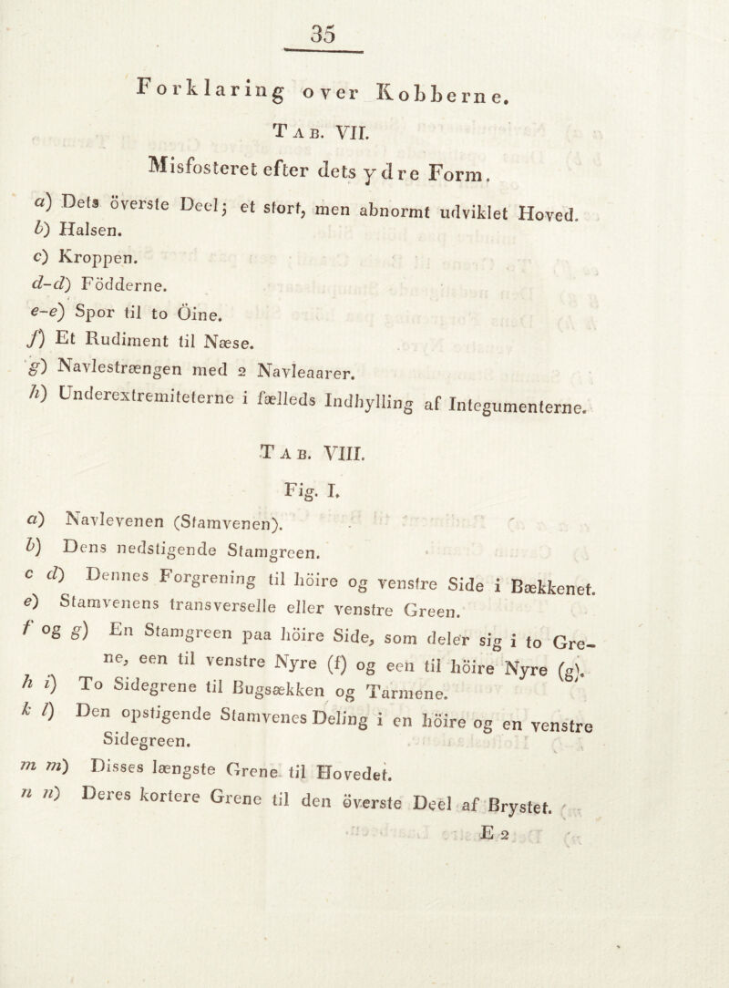 Forklaring over Rokkerne. Tab. VII. Misfosteret efter dets y dre Form. a) Dets 6verste Deel; et stort, men abnormt udviklet Hoved. b) Halsen. c) Kroppen. d-d) Fodderne. e-e) Spor til to Gine. f) Et Rudiment til Næse. g) Navlestrængen med 2 Navleaarer. h) Underextremiteterne i fælleds Indhylling af Integumenterne. Tab. VIII. Fig. I. cl) Navlevenen (Sfamvenen). • ' b) Dens nedstigende Stamgreen. C cl) Dennes Forgrening til hoire og venstre Side i Bækkenet. e) Stamvenens transverselle eller venstre Green. f °g g) En Stamgreen paa hoire Side, som deler sig i to Gre¬ ne, een til venstre Nyre (f) og een til hoire Nyre (gi. h 1) To Sidegrene til Bugsækken og Tarmene. k l) Den opstigende Stamvenes Deling i en hoire og en venstre Sidegreen. m m) Disses længste Grene til Hovedet. 11 ll) Deres Grene til den øverste Deel af Brystet. ' E 2