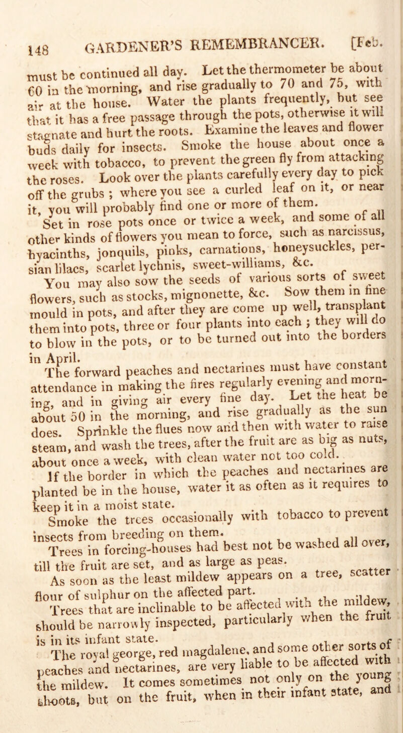 must be continued all day. Let the thermometer be about f 0 in the -morning, and rise gradually to 70 and 75, with air at the house. Water the plants frequently, hut see that it has a free passage through the pots, otherwise it will stagnate and hurt the roots. Examine the leaves and flower buds daily for insects. Smoke the house about once a week with tobacco, to prevent the green fly from attacking the roses. Look over the plants carefully every day to pick off the grubs ; where you see a curled leaf on it, or near it, vou will probably find one or more of them. Set in rose pots once or twice a week, and some of all other kinds of flowers you mean to force, such as narcissus, hyacinths, jonquils, pinks, carnations, honeysuckles, per- sian lilacs, scarlet lychnis, sweet-williams, &c. You may also sow the seeds of various sorts of sweet flowers, such as stocks, mignonette, &c. Sow them in fine mould in pots, and after they are come up well, transplant them into pots, three or four plants into each ; ‘bey will do to blow iii the pots, or to be turned out into the borders 1,1 The forward peaches and nectarines must have constant attendance in making the fires regularly evening and morn¬ ing, and in giving air every fine day Let me heat be about 50 in the morning, and rise gradually as the sun does. Sprinkle the flues now arid then with water to raise steam, and wash the trees, after the fruit are as big as nuts, about once a week, with clean water not too cold. If the border in which the peaches and nectarines are planted be in the house, water it as often as it requires t keeSmoke the 'trees3 occasionally with tobacco to prevent in Treef rfor^igTorestaTbest not be washed all over, till the fruit are set, and as large as peas. As soon as the least mildew appears on a tree, scatter flour of sulphur on the aflected part. < .. Trees that are inclinable to be affected with the mildew, should be narrowly inspected, particularly when the fruit 'S TheVdyal'geolge,'red magdalene. and some other sorts of peaches* and nectarines, arS very liable to be affectedl with the mildew. It comes sometimes not only on the j 6 llL™, but on the fruit, when in their infant state, and
