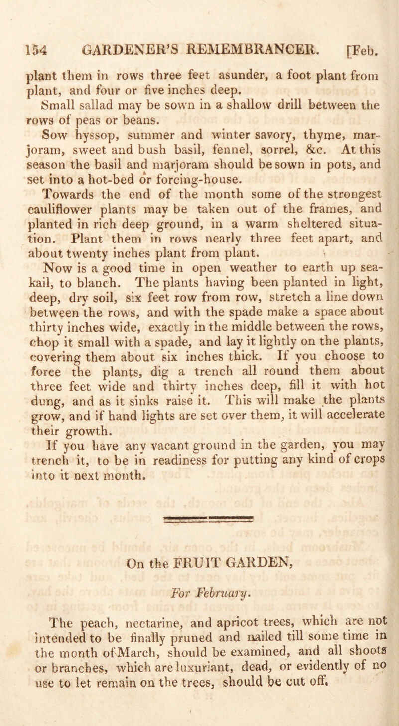 plant them in rows three feet asunder, a foot plant from plant, and four or five inches deep. Small sallad may be sown in a shallow drill between the rows of peas or beans. Sow hyssop, summer and winter savory, thyme, mar¬ joram, sweet and bush basil, fennel, sorrel, &c. At this season the basil and marjoram should be sown in pots, and set into a hot-bed dr forcing-house. Towards the end of the month some of the strongest cauliflower plants may be taken out of the frames, and planted in rich deep ground, in a warm sheltered situa¬ tion. Plant them in rows nearly three feet apart, and about twenty inches plant from plant. Now is a good time in open weather to earth up sea- kail, to blanch. The plants having been planted in light, deep, dry soil, six feet row from row, stretch a line down between the rows, and with the spade make a space about thirty inches wide, exactly in the middle between the rows, chop it small with a spade, and lay it lightly on the plants, covering them about six inches thick. It you choose to force the plants, dig a trench all round them about three feet wide and thirty inches deep, fill it with hot dung, and as it sinks raise it. This will make the plants grow, and if hand lights are set over them, it will accelerate their growth. If you have any vacant ground in the garden, you may trench it, to be in readiness for putting any kind of crops into it next month. On the FRUIT GARDEN, For February. The peach, nectarine, and apricot trees, which are not intended to be finally pruned and nailed till some time in the month of March, should be examined, and all shoots or branches, which are luxuriant, dead, or evidently of no use to let remain on the trees, should be cut off.