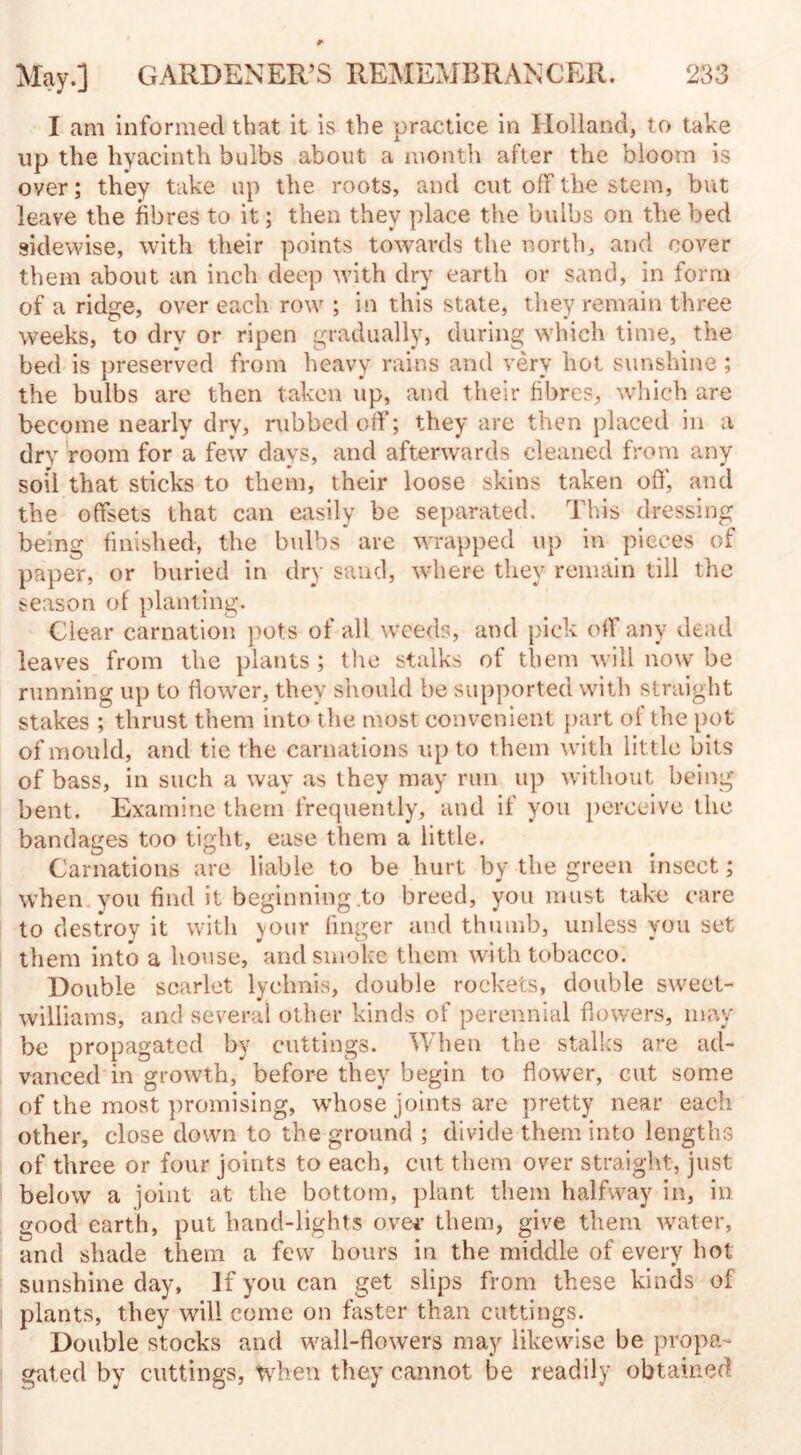 I am informed that it is the practice in Holland, to take up the hyacinth bulbs about a month after the bloom is over; they take up the roots, and cut off the stem, but leave the fibres to it; then they place the bulbs on the bed sidewise, with their points towards the north, and cover them about an inch deep with dry earth or sand, in form of a ridge, over each row ; in this state, they remain three weeks, to dry or ripen gradually, during which time, the bed is preserved from heavy rains and very hot sunshine ; the bulbs are then taken up, and their fibres, which are become nearly dry, rubbed off; they are then placed in a dry room for a few days, and afterwards cleaned from any soil that sticks to them, their loose skins taken off, and the offsets that can easily be separated. This dressing being finished, the bulbs are wrapped up in pieces of paper, or buried in dry sand, where they remain till the season of planting. Clear carnation pots of all weeds, and pick off any dead leaves from the plants ; the stalks of them will now be running up to flower, they should be supported with straight stakes ; thrust them into the most convenient part of the pot of mould, and tie the carnations up to them with little bits of bass, in such a way as they may run up without being bent. Examine them frequently, and if you perceive the bandages too tight, ease them a little. Carnations are liable to be hurt by the green insect; when you find it beginning .to breed, you must take care to destroy it with your finger and thumb, unless you set them into a house, and smoke them with tobacco. Double scarlet lychnis, double rockets, double sweet- williams, and several other kinds of perennial flowers, may be propagated by cuttings. When the stalks are ad¬ vanced in growth, before they begin to flower, cut some of the most promising, whose joints are pretty near each other, close down to the ground ; divide them into lengths of three or four joints to each, cut them over straight, just below a joint at the bottom, plant them halfway in, in good earth, put hand-lights over them, give them water, and shade them a few hours in the middle of every hot sunshine day. If you can get slips from these kinds of plants, they will come on faster than cuttings. Double stocks and wall-flowers may likewise be propa¬ gated by cuttings, when they cannot be readily obtained