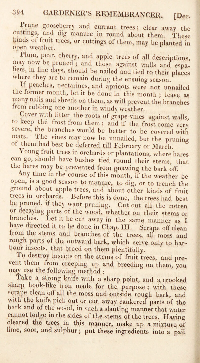 Prune gooseberry and currant trees; clear away the cuttings, and dig manure in round about them. These kinds ol fruit trees, or cuttings of them, may be planted in open weather. I him, pear, cherry, and apple trees of all descriptions, may now be pruned ; and those against walls and espa- ners, in fine days, should be nailed and tied to (heir places \ c t remain during the ensuing season. If peaches, nectarines, and apricots were not unnailed the former month, let it be done in this month ; leave as many nans and shreds on them, as will prevent the branches from rubbing one another in windy weather. Cover with litter the roots of grape-vines against walls, to eep toe frost from them ; and if the frost come very severe, the branches would be better to be covered with mats. The vines may now be unnailed, but the pruning of them had best be deferred till February or March. \ oung fruit trees in orchards or plantations, where hares can go, should have bushes tied round their stems, that the hares may be prevented from gnawing the bark off. Any time in the course of this month, if the weather be open, is a good season to manure, to dig, or to trench the ground about apple trees, and about other kinds of fruit trees in orchards. Before this is done, the trees had best be pruned, if they want pruning. Cut out all the rotten or decaying parts of the wood, whether on their stems or branches. Eet it be cut away in the same manner as I have directed it to be done in'Chap. III. Scrape off clean from the stems and branches of the trees, all moss and rough paits of the outward bark, which serve only to har¬ bour insects, that breed on them plentifully. lo destroy insects on the stems of fruit trees, and pre¬ vent them from creeping up and breeding on them, you may use the following method : Take a strong knife with a sharp point, and a crooked sharp hook-like iron made for the purpose ; with these set ape clean off all the moss and outside rough bark, and with the knife pick out or cut away cankered parts of the bark and of the wood, in such a slanting manner that water cannot lodge in the sides of the stems of the trees. Having cleared the trees in this ma.nner, make up a mixture of lime, soot, and sulphur; put these ingredients into a pail