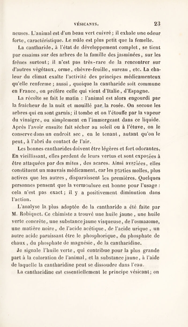 neuses. L’animal est d’un beau vert cuivré ; il exhale une odeur forte, caractéristique. Le mâle est plus petit que la femelle. La cantharide, à l’état de développement complet, se tient par essaims sur des arbres de la famille des jasminées, sur les frênes surtout; il n’est pas très-rare de la rencontrer sur d’autres végétaux, orme, chèvre-feuille, sureau , etc. La cha- leur du climat exalte l’activité des principes médicamenteux qu’elle renferme ; aussi, quoique la cantharide soit commune en France, on préfère celle qui vient d’Italie, d’Espagne. La récolte se fait le matin : l’animal est alors engourdi par la fraîcheur de la nuit et mouillé par la rosée. On secoue les arbres qui en sont garnis; il tombe et on l’étouffe par la vapeur du vinaigre, ou simplement en l’immergeant dans ce liquide. Après l’avoir ensuite fait sécher au soleil ou à l’étuve, on le conserve dans un endroit sec, en le tenant, autant qu’on le peut, à l’abri du contact de l’air. Les bonnes cantharides doivent être légères et fort odorantes-. En vieillissant, elles perdent de leurs vertus et sont exposées à être attaquées par des mites , des acares. Ainsi avariées, elles constituent un mauvais médicament, caries parties molles, plus actives que les autres , disparaissent les premières. Quelques personnes pensent que la vermoulure est bonne pour l’usage : cela n’est pas exact ; il y a positivement diminution dans l’action. L’analyse la plus adoptée de la cantharide a été faite par M. Robiquet. Ce chimiste a trouvé une huile jaune , une huile verte concrète, une substance jaune visqueuse, de l’osmazome, une matière noire, de l’acide acétique, de l’acide urique , un autre acide paraissant être le phosphorique, du phosphate de chaux , du phosphate de magnésie, de la cantharidine. Je signale l’huile verte , qui contribue pour la plus grande part à la coloration de l’animal, et la substance jaune, à l’aide de laquelle la cantharidine peut se dissoudre dans l’eau. La cantharidine est essentiellement le principe vésicant; on